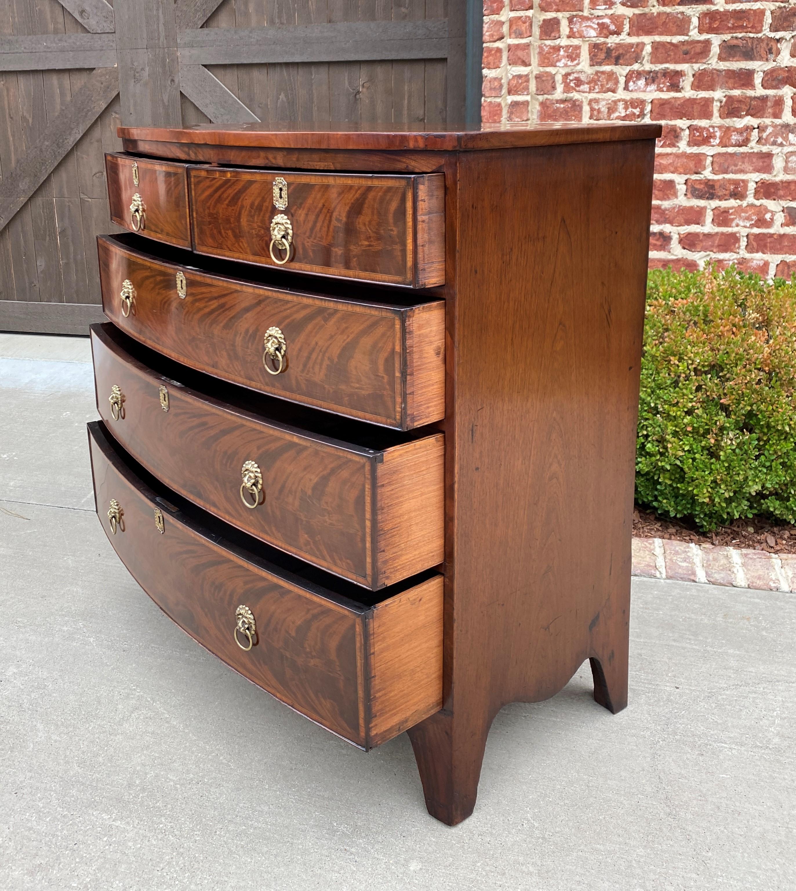 Brass Antique English Chest of Drawers Bow Front Mahogany 5-Drawer Commode 19th C