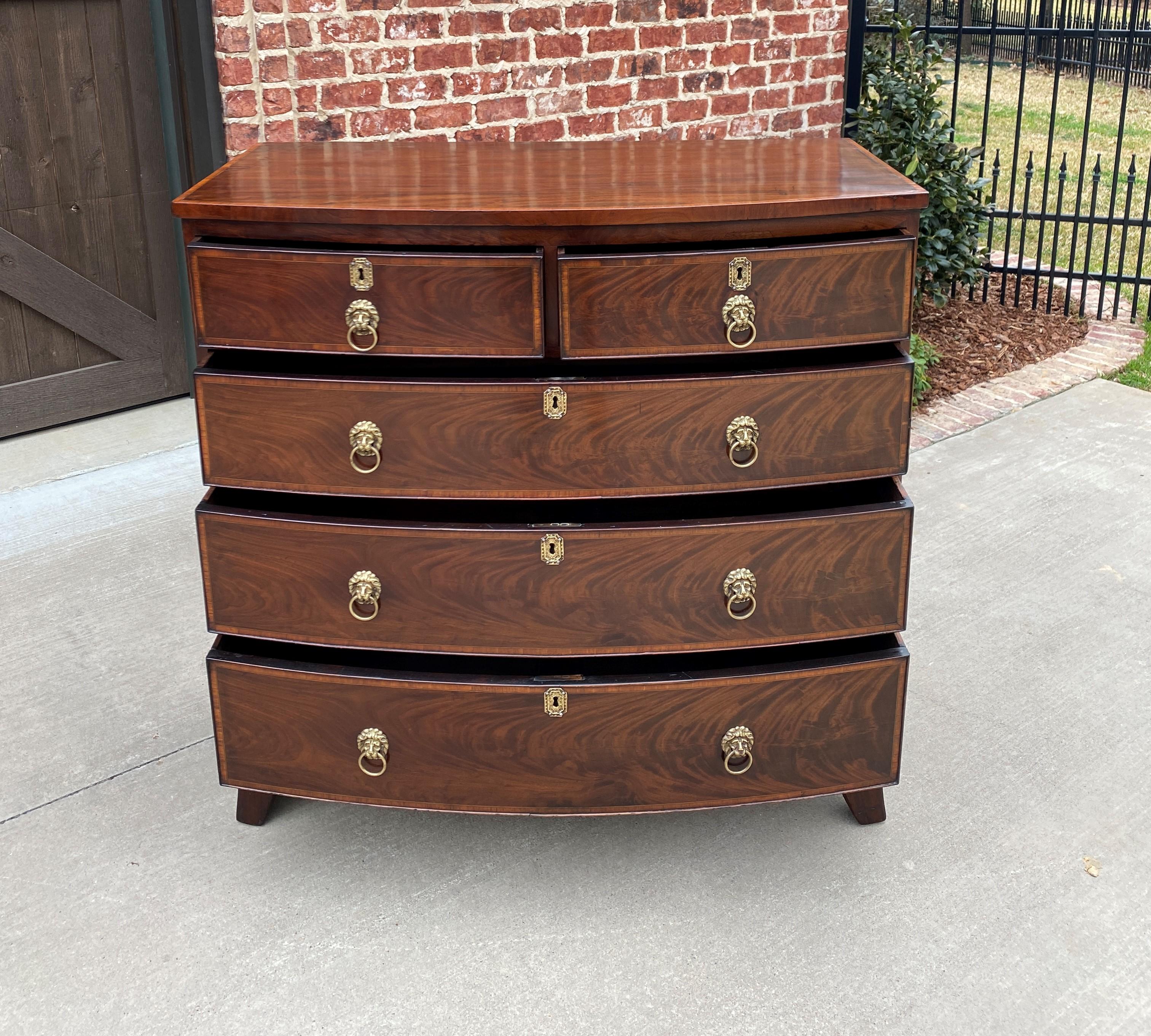 Antique English Chest of Drawers Bow Front Mahogany 5-Drawer Commode 19th C 3