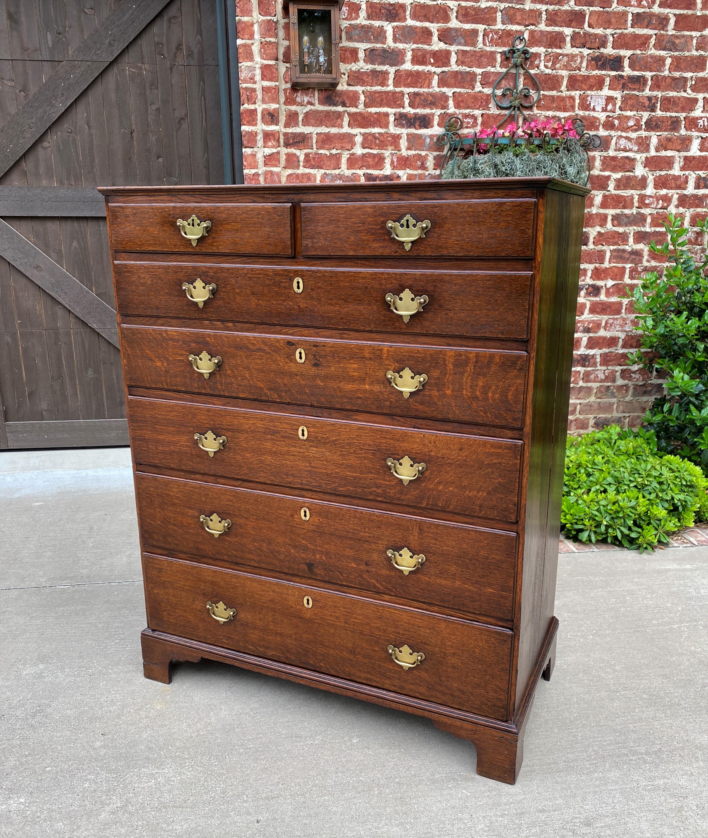 Antique English Chest of Drawers Georgian Carved Oak Large Batwings 7 Drawers  4