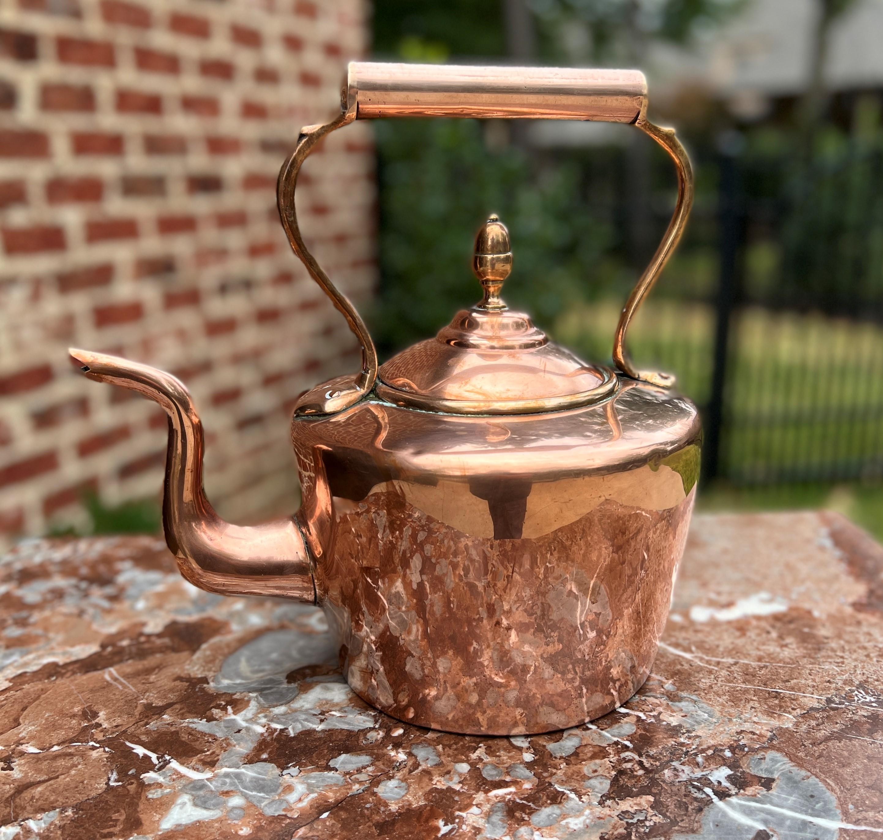 Antique English Copper Brass Tea Kettle Coffee Pitcher Spout Handle #1 c. 1900 For Sale 3