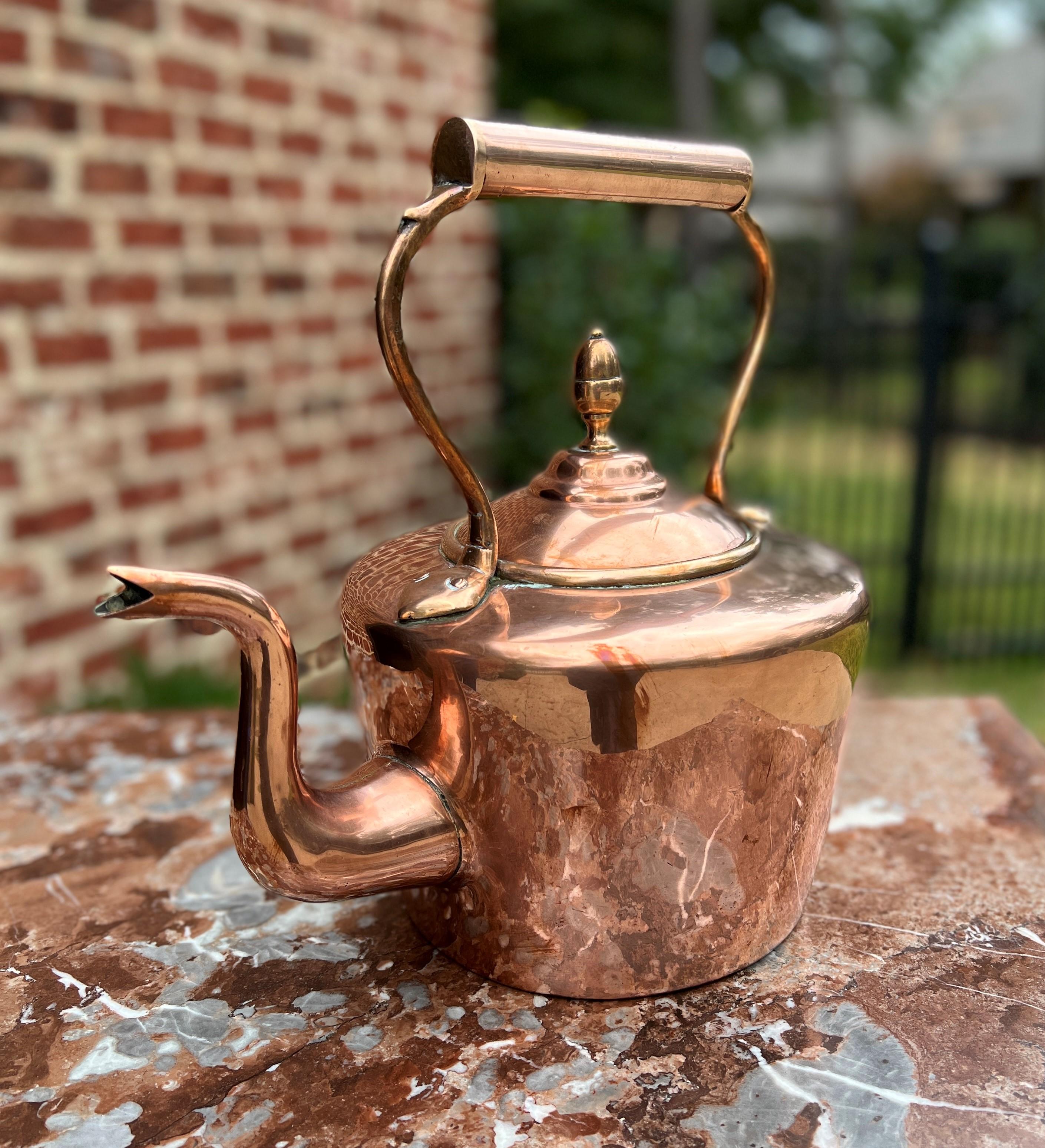 British Colonial Antique English Copper Brass Tea Kettle Coffee Pitcher Spout Handle #1 c. 1900 For Sale