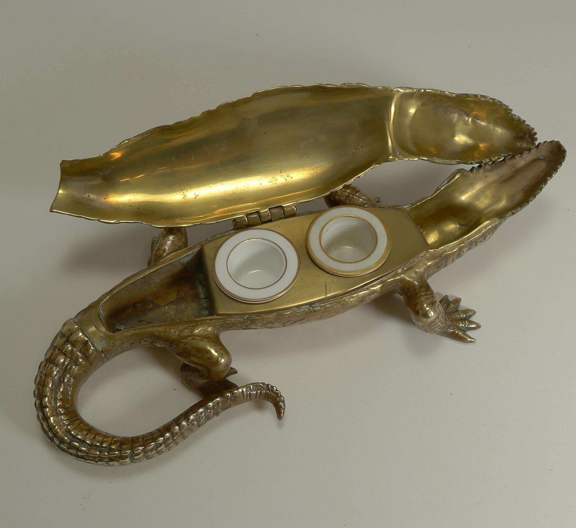 caiman in english