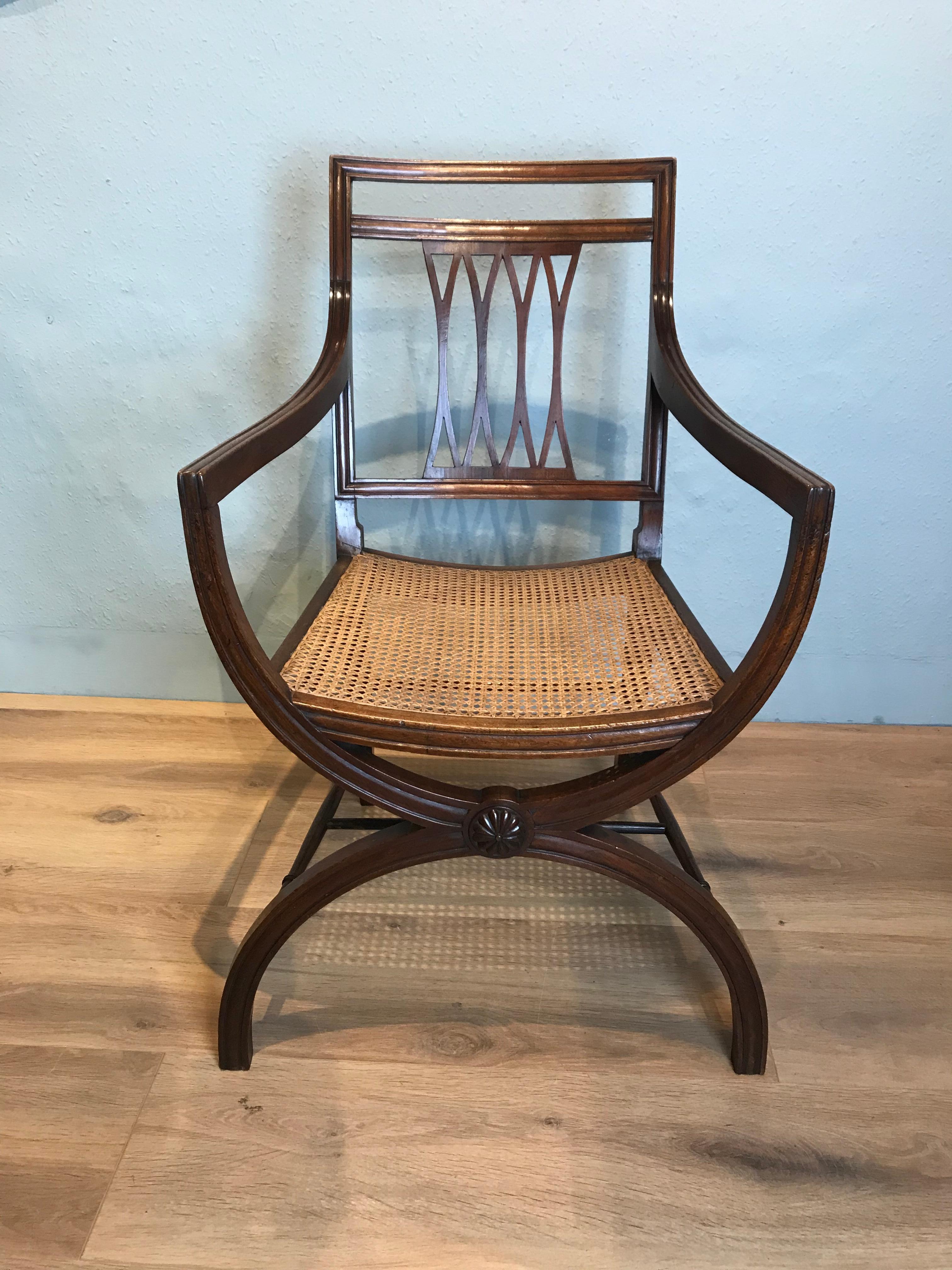 Mahogany Curule style open armchair in the manor of the design of Thomas. Hope. This attractive late 19th century chair has a moulded X frame facade with a central carved reeded randall, caned seat and lower turned H frame stretcher. This handsome
