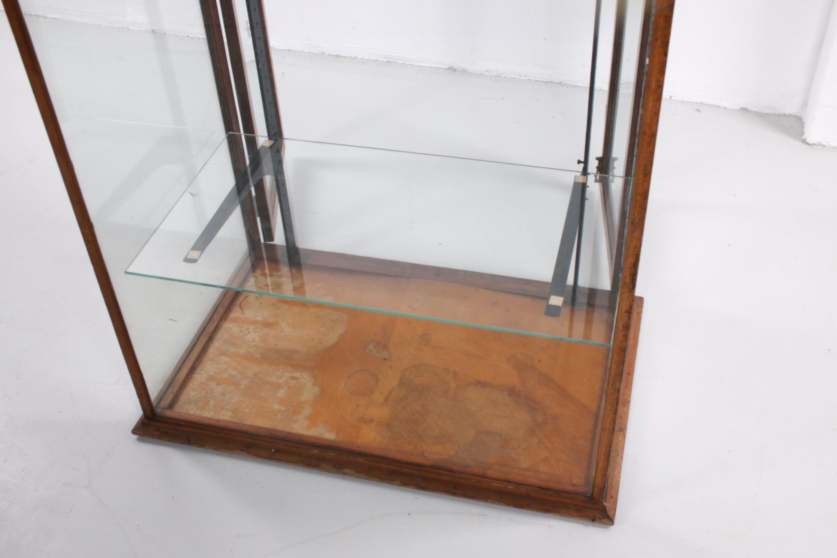 Industrial Antique English Display Case of Mahogany, 1930s