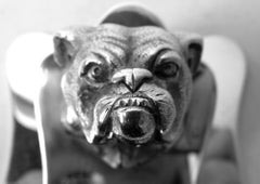 Antique English Edwardian Growly Jowly Bulldog Paperclip, 1917
