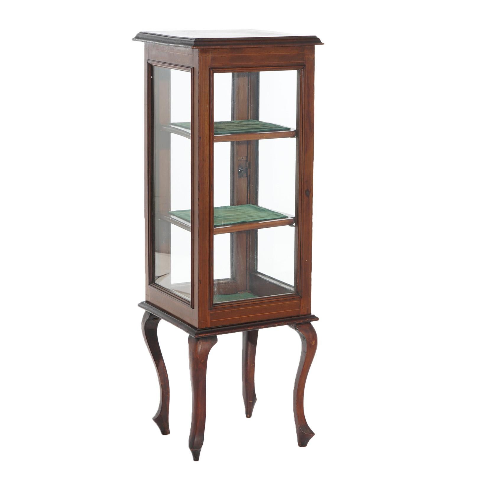 Antique English Edwardian Mahogany Vitrine or Curio Display Cabinet C1910 5