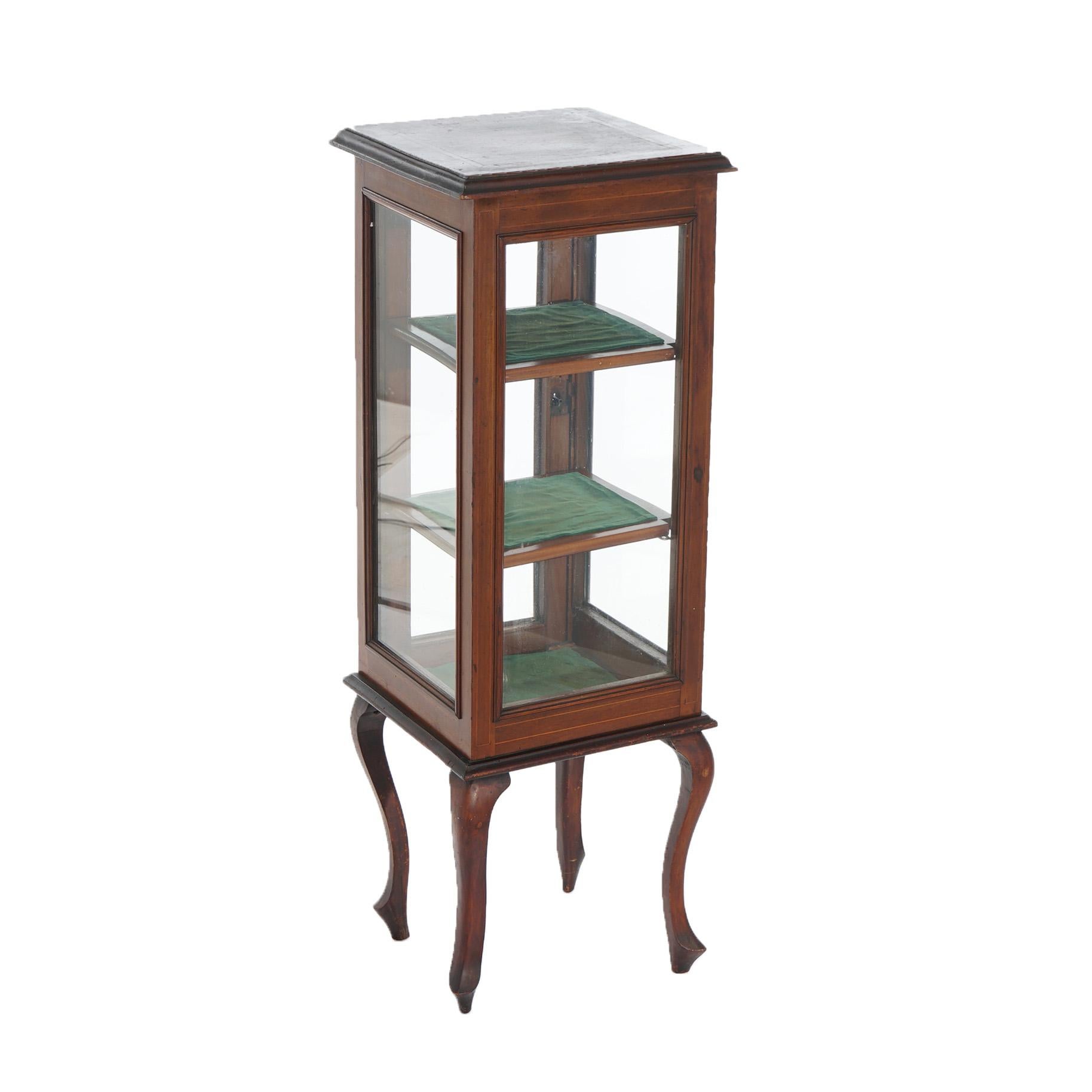 Antique English Edwardian Mahogany Vitrine or Curio Display Cabinet C1910 6