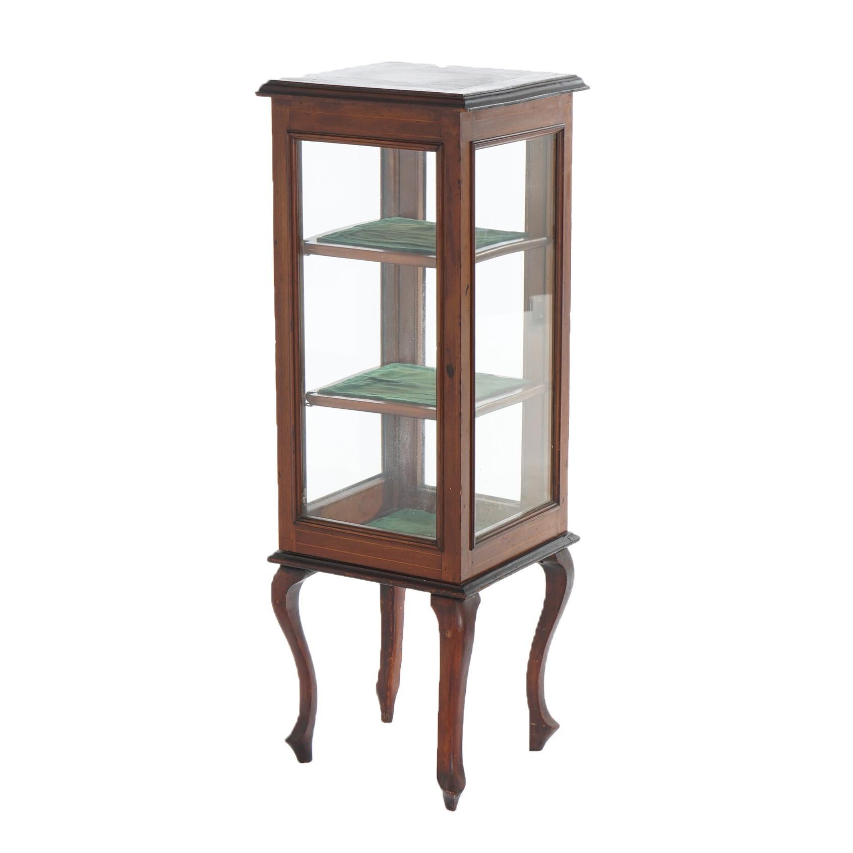 Antique English Edwardian Mahogany Vitrine or Curio Display Cabinet C1910 7