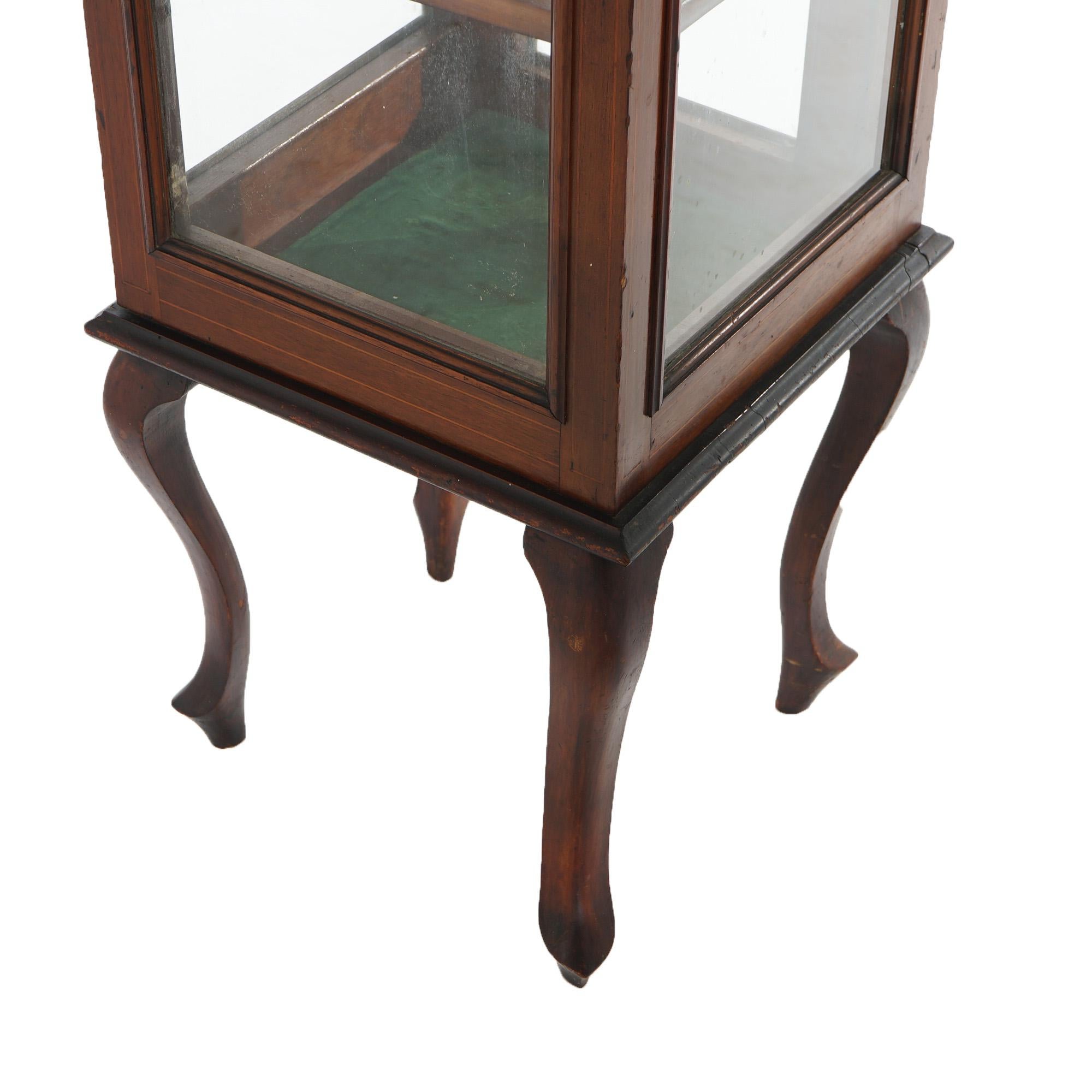 Antique English Edwardian Mahogany Vitrine or Curio Display Cabinet C1910 8