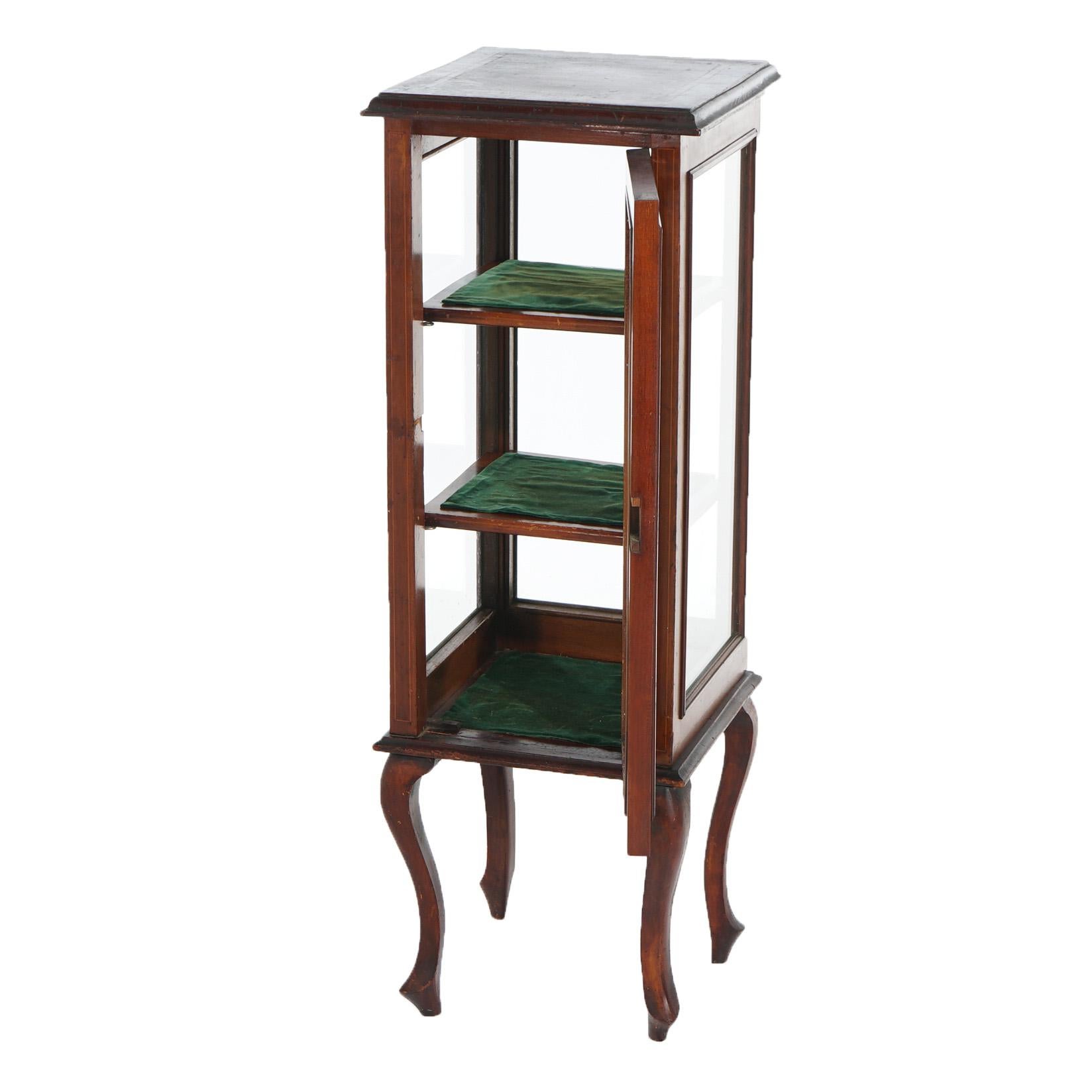 20th Century Antique English Edwardian Mahogany Vitrine or Curio Display Cabinet C1910