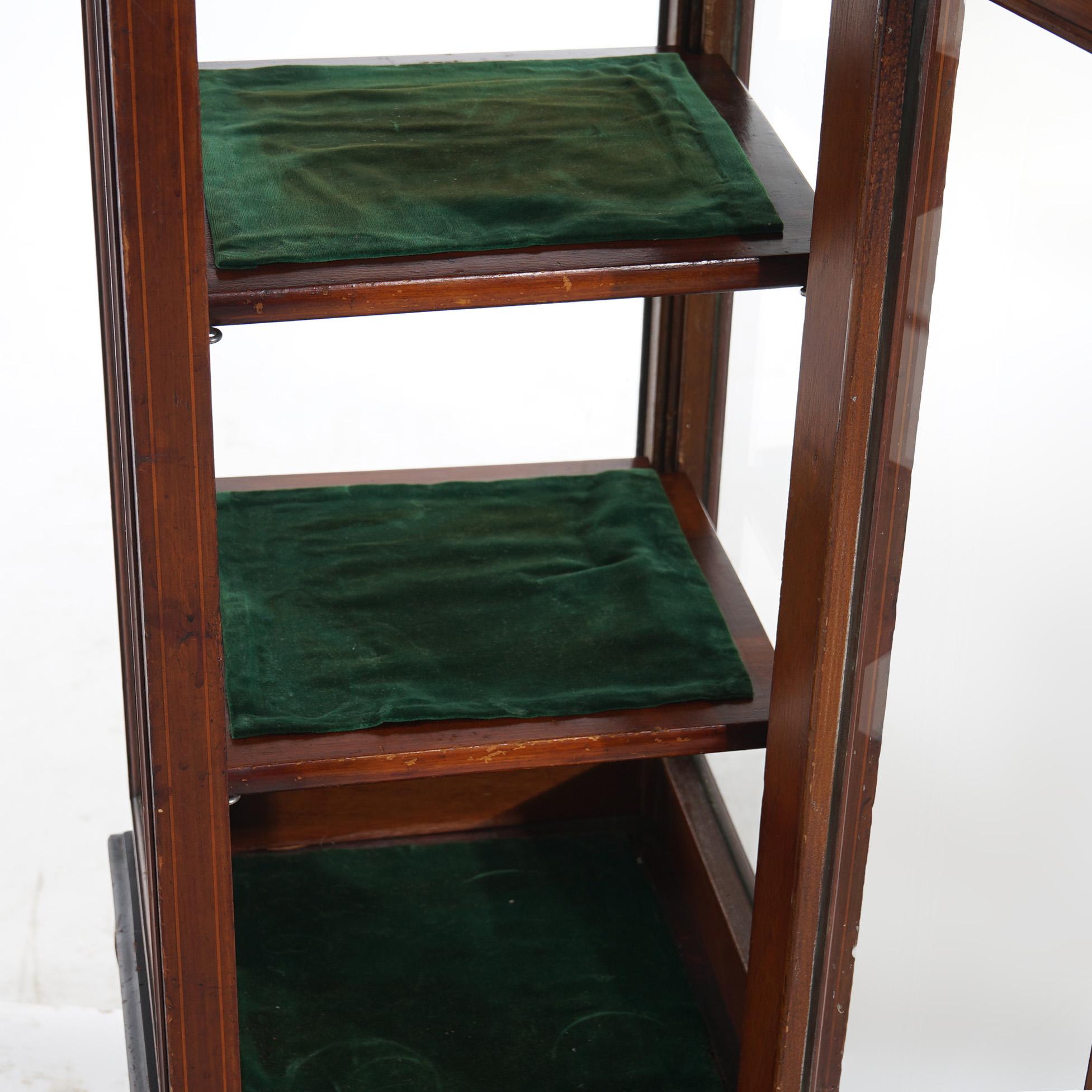 Antique English Edwardian Mahogany Vitrine or Curio Display Cabinet C1910 1