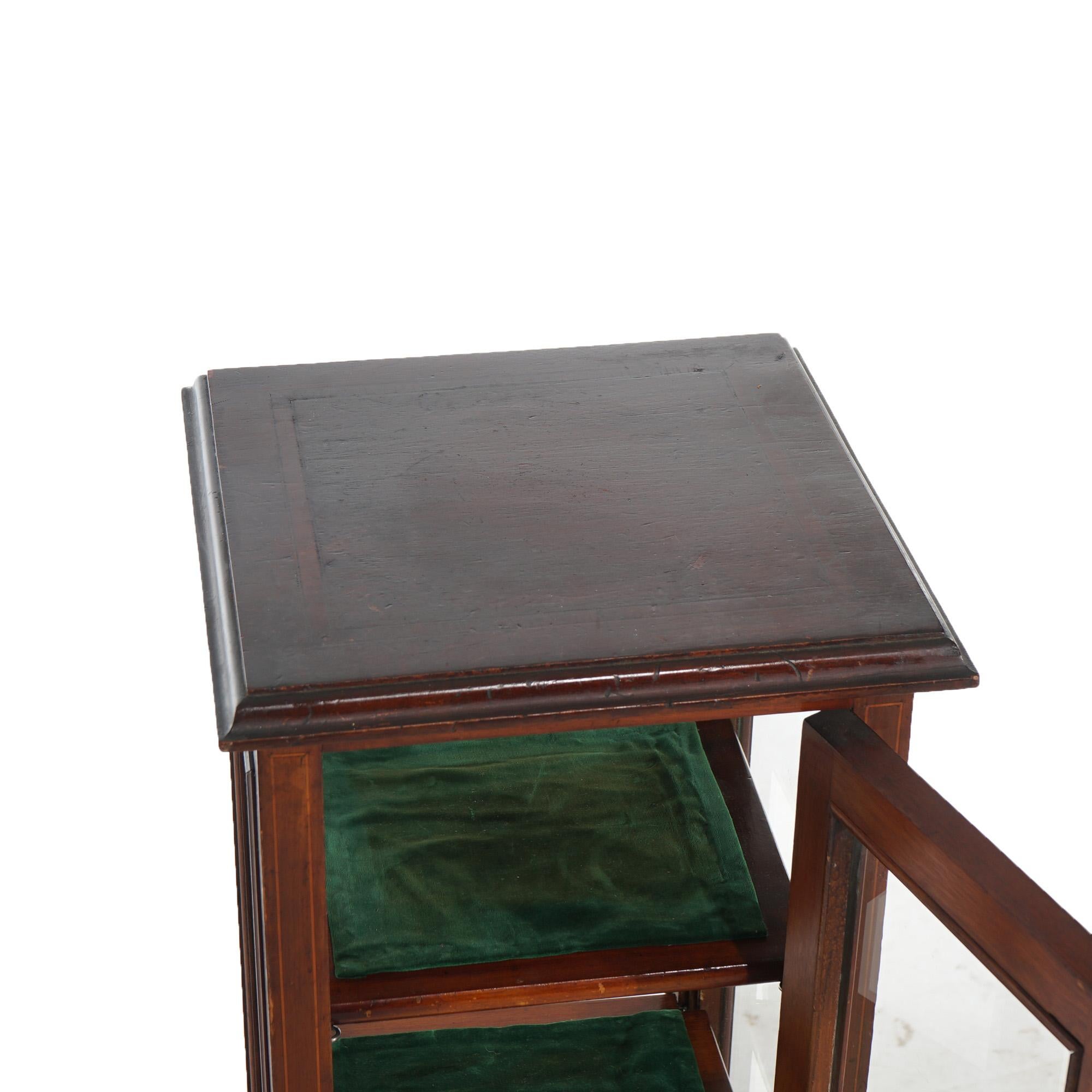 Antique English Edwardian Mahogany Vitrine or Curio Display Cabinet C1910 2