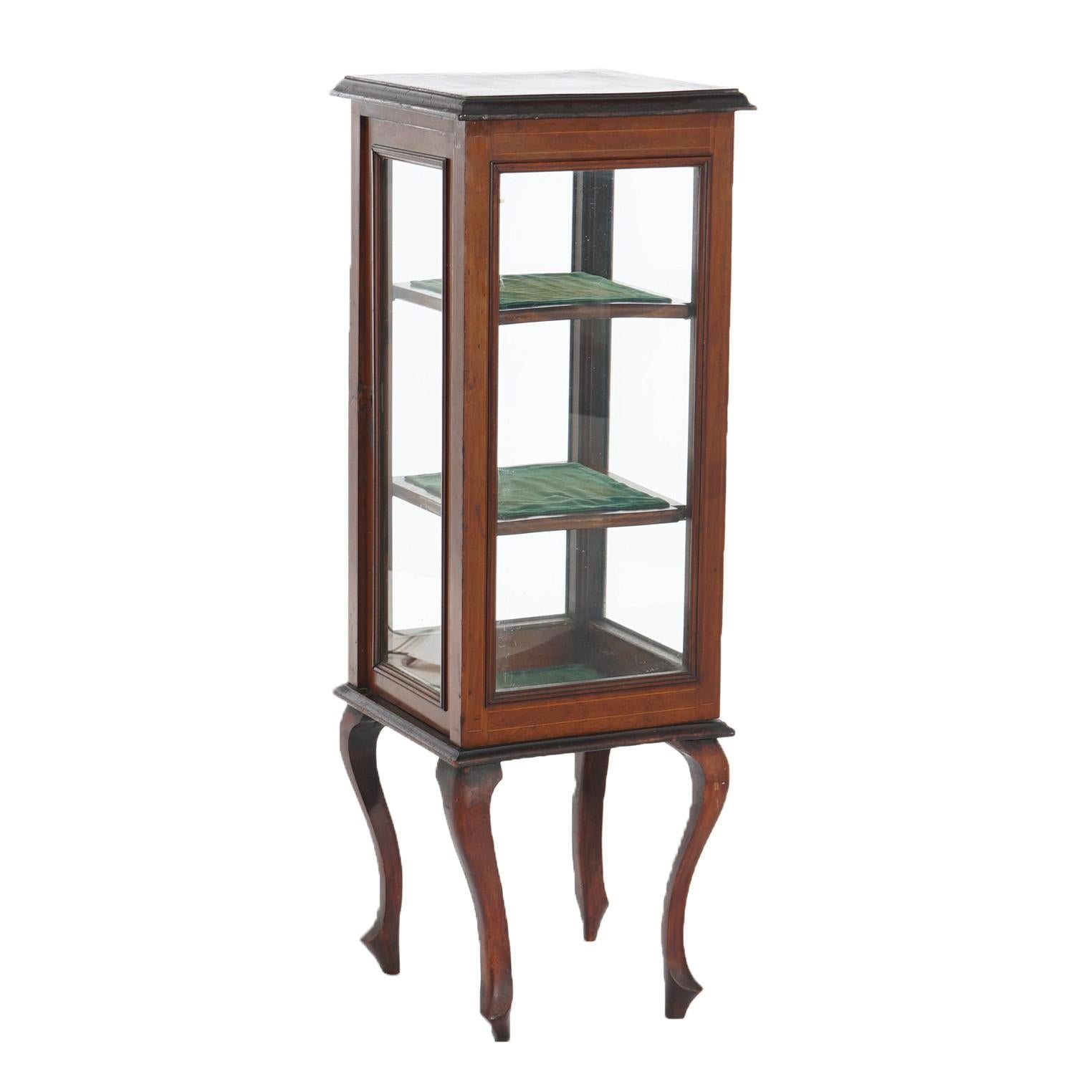 Antique English Edwardian Mahogany Vitrine or Curio Display Cabinet C1910 3