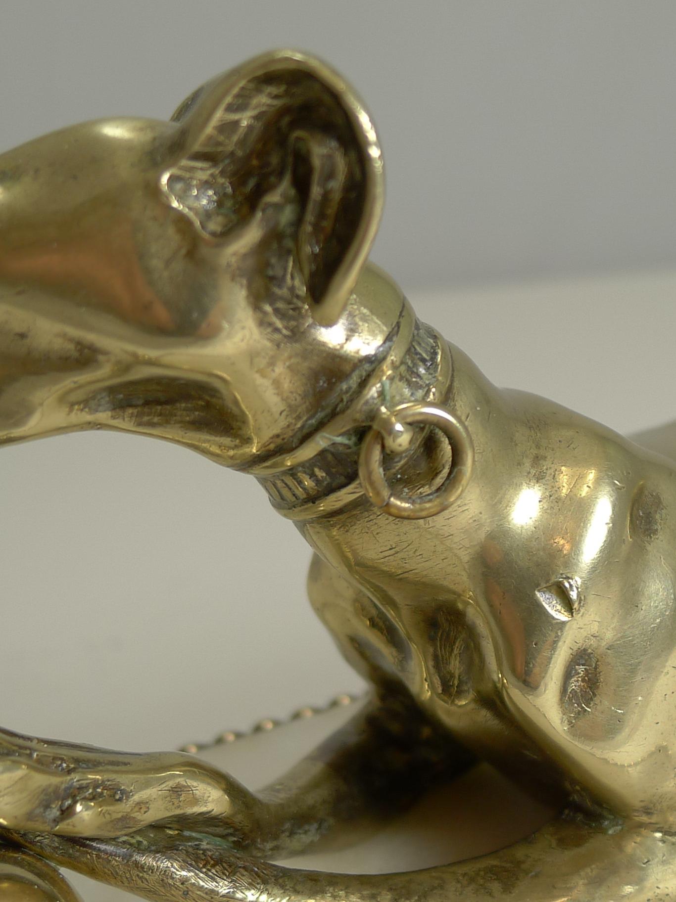 brass greyhound