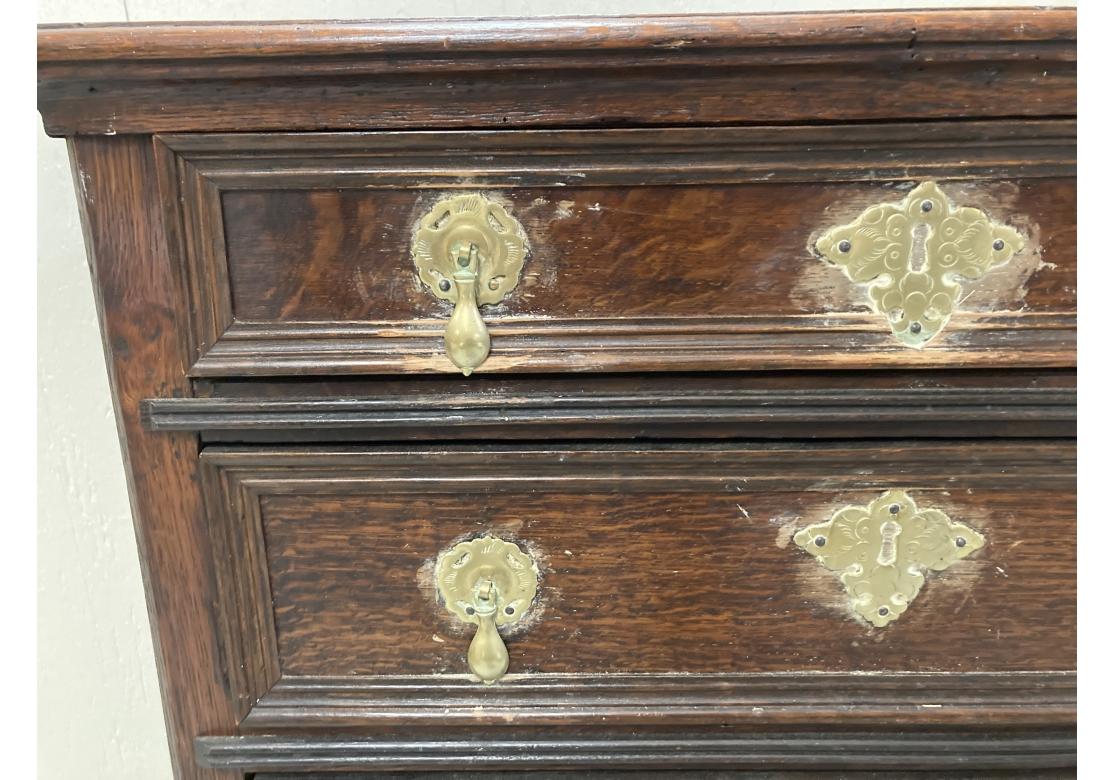Antique English Five Drawer Oak Cabinet With Brass Pulls For Sale 1
