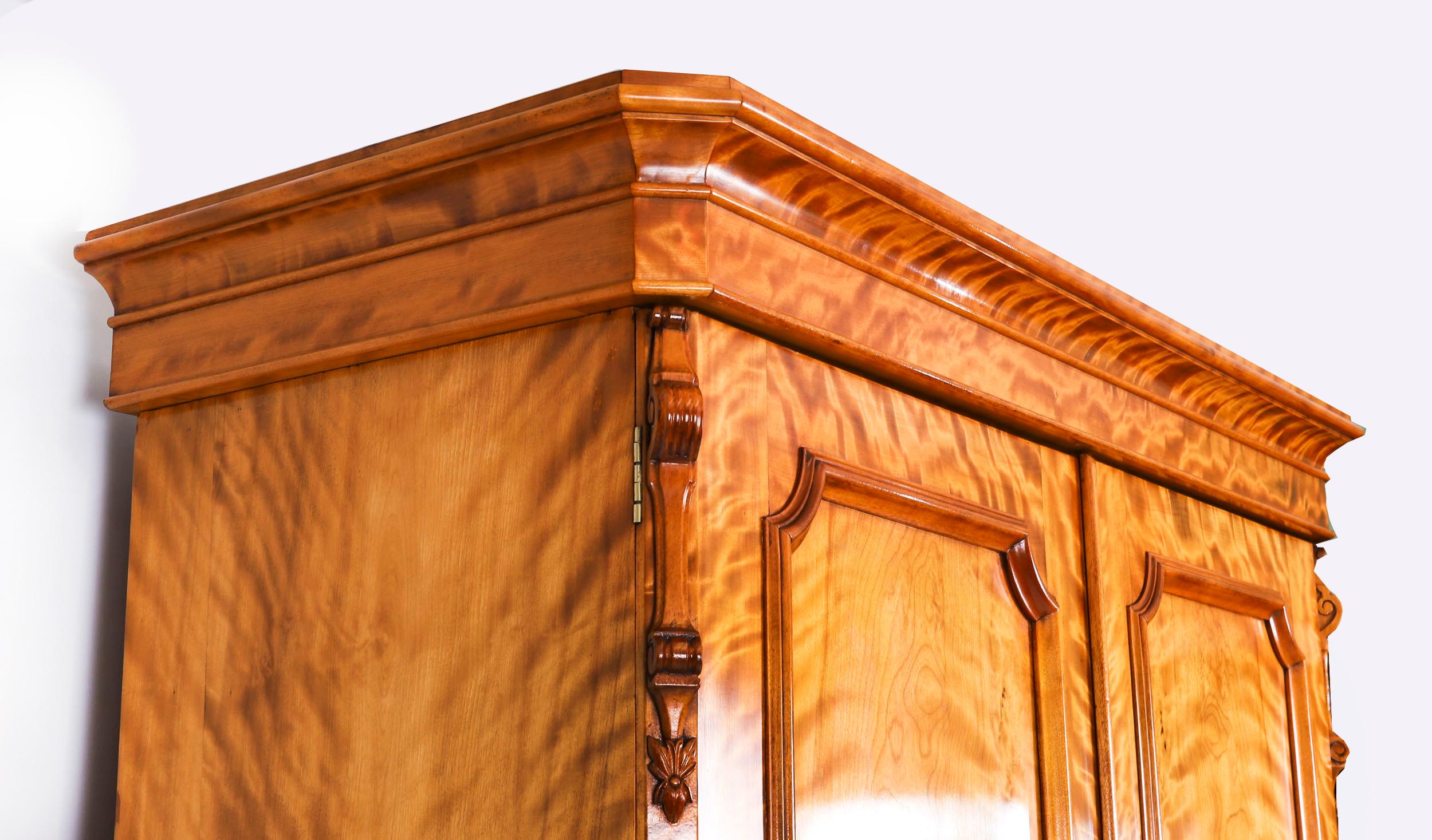 Armario antiguo inglés de dos puertas de madera satinada Siglo XIX en venta 4