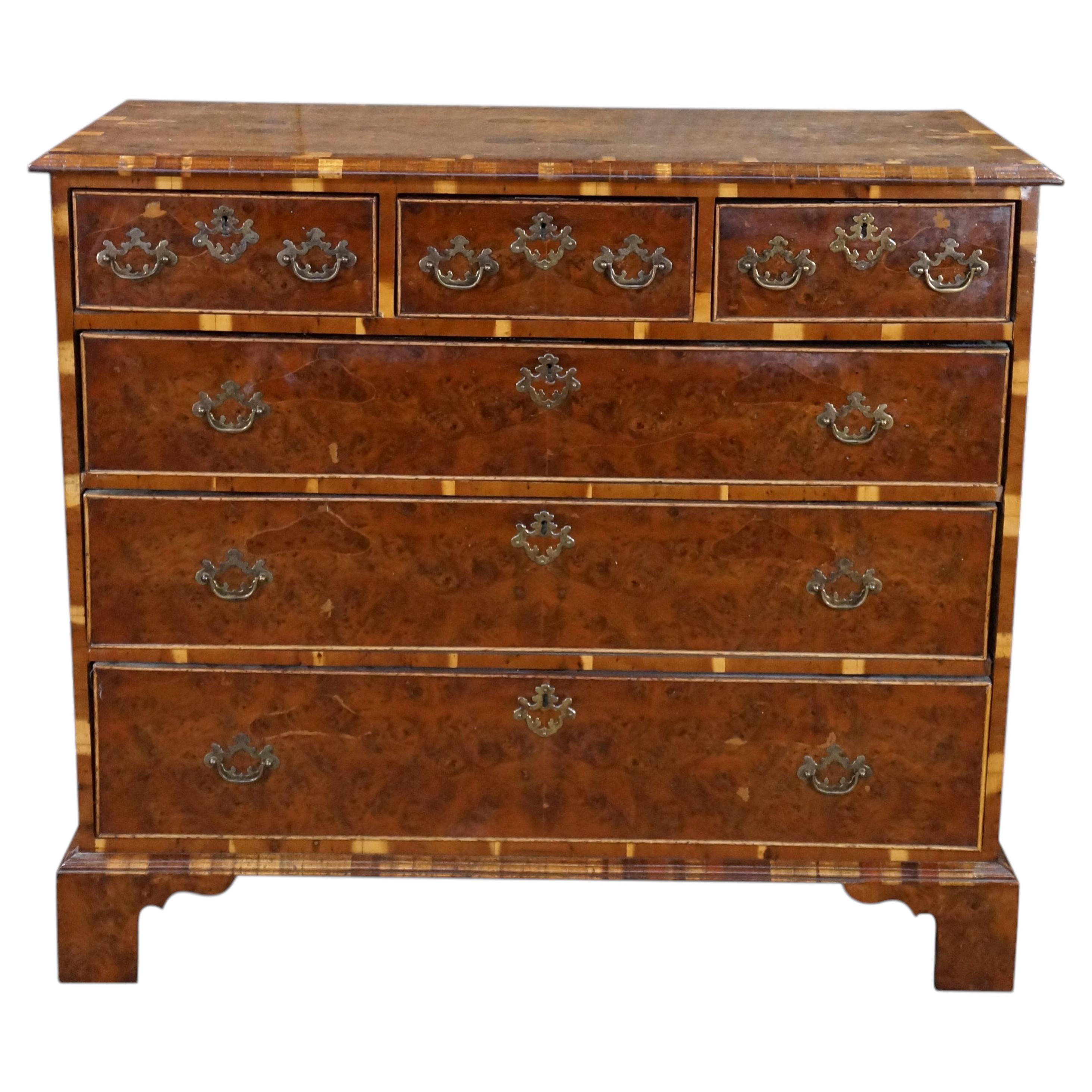 Antique English George II Style Oyster Burl Yew Bachelors Chest Dresser Commode For Sale