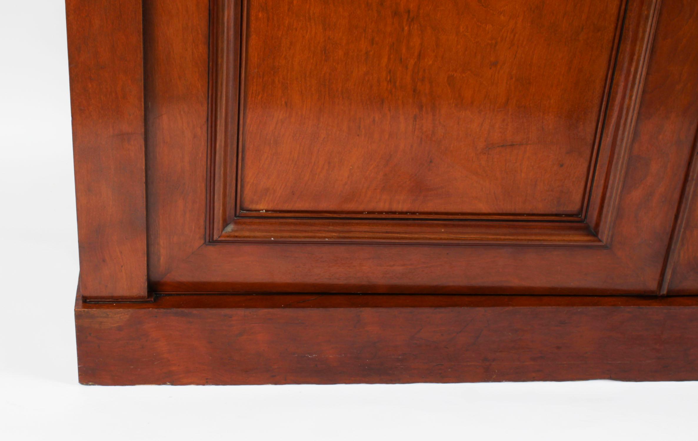Antique English George IV Flame Mahogany Wardrobe 19th Century For Sale 2