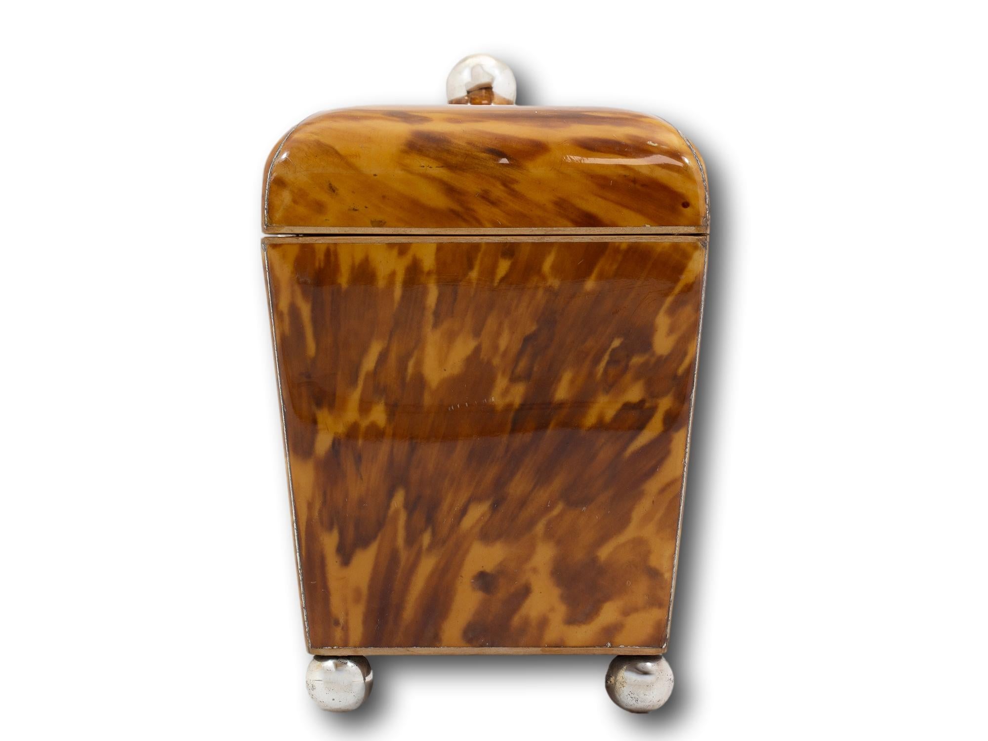 Faced In Boxwood

From our Tea Caddy collection, we are thrilled to offer this Antique Blonde Tortoiseshell Tea Caddy. The Tea Chest of tapered rectangular shape with silver stringing, a silver ball finial, silver escutcheon and four silver ball