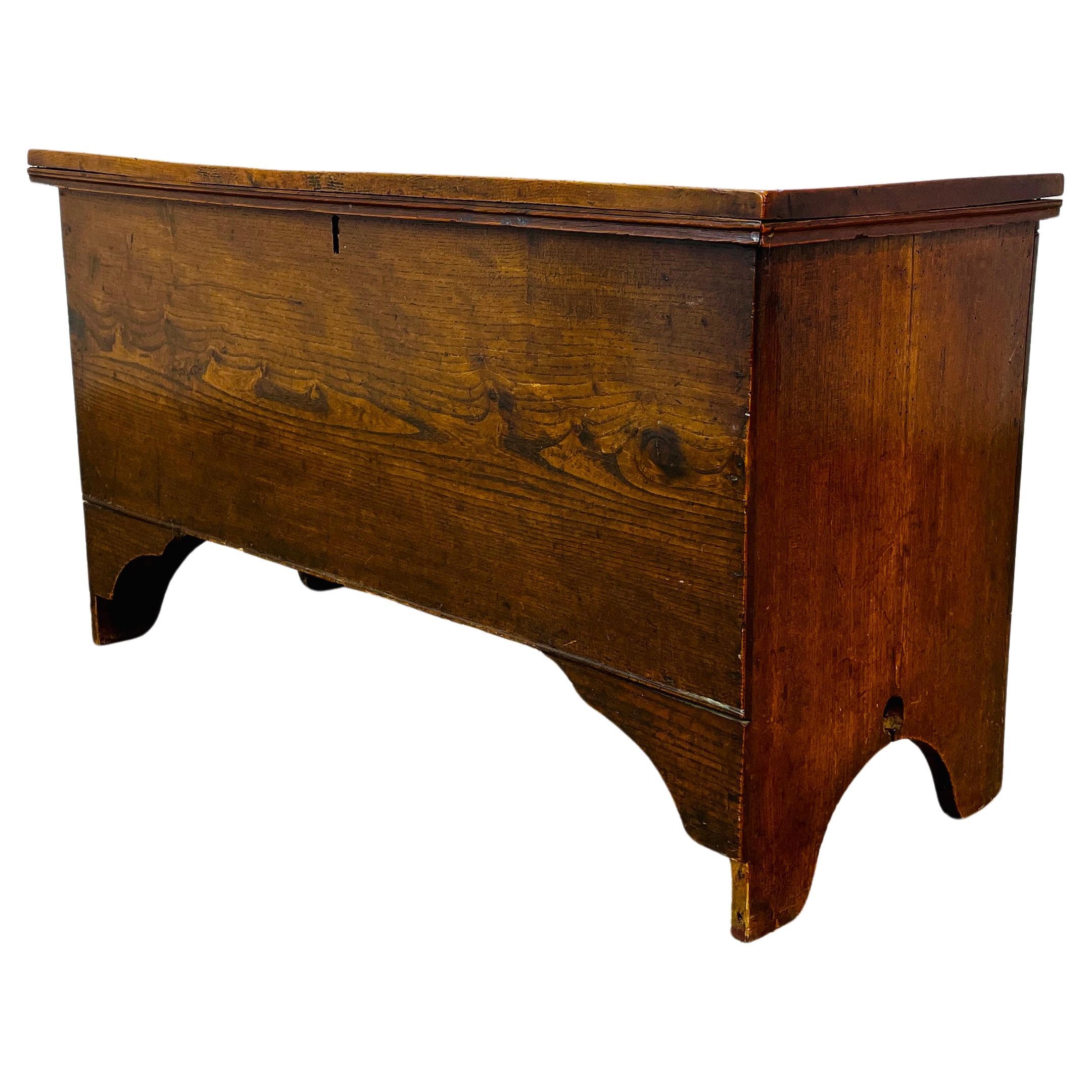 Antique English Georgian Coffer / Trunk, early 19th Century For Sale