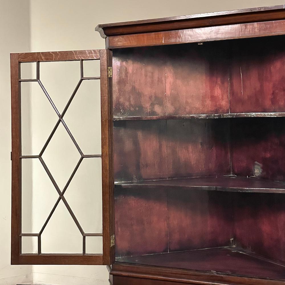 Ancien cabinet de curiosités géorgien anglais ~ vitrine d'exposition en vente 2