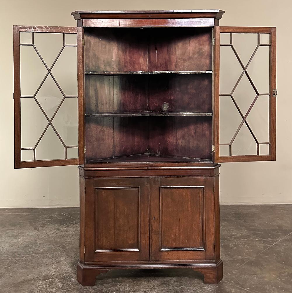 Ancien cabinet de curiosités géorgien anglais ~ vitrine d'exposition en vente 1