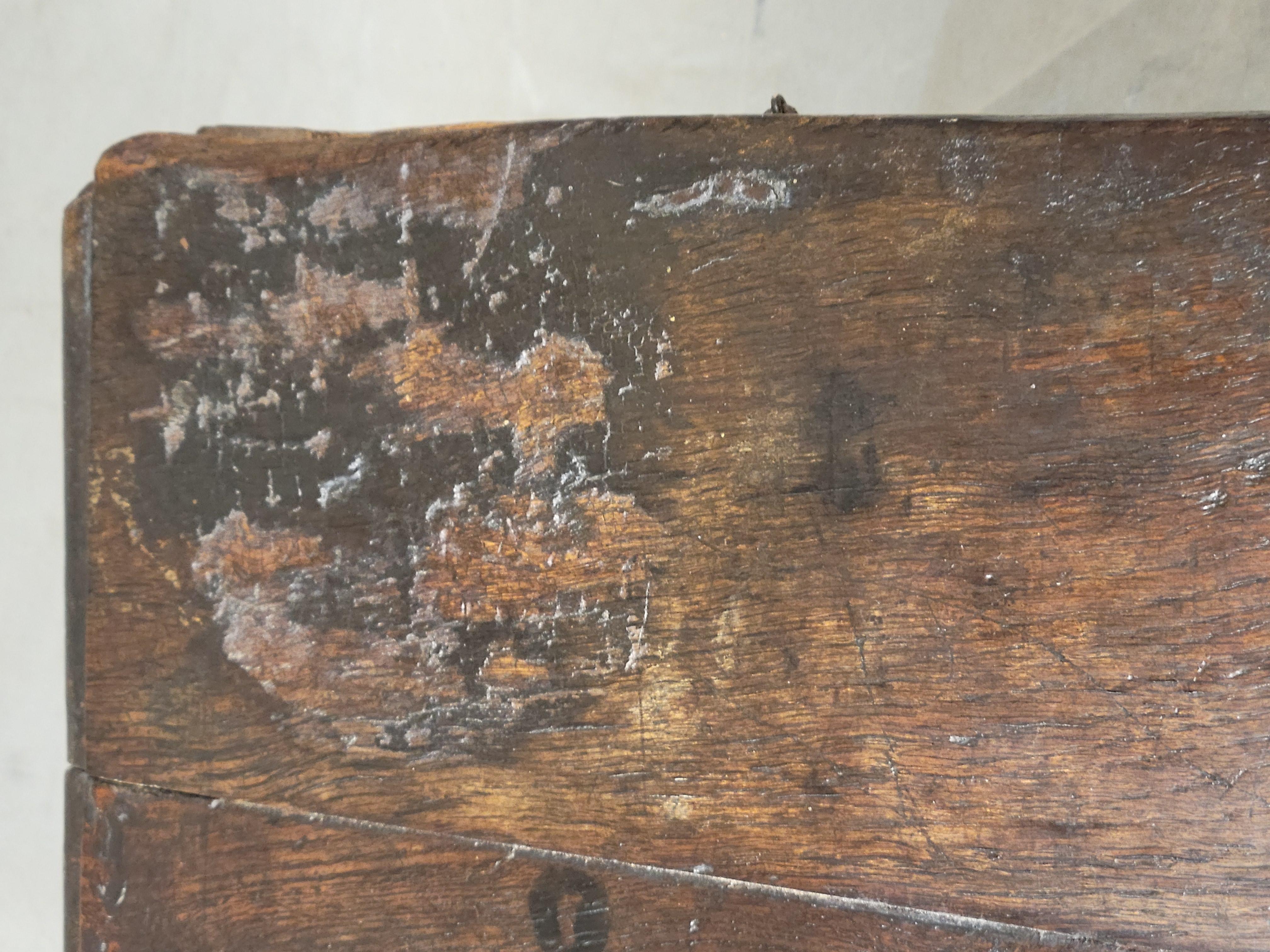 Antique English Georgian Period Carved Oak Coffer Storage Trunk Blanket Chest 3
