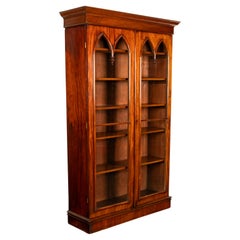 Antique English Georgian Regency Gothic Arch Mahogany Two Door Bookcase 1830
