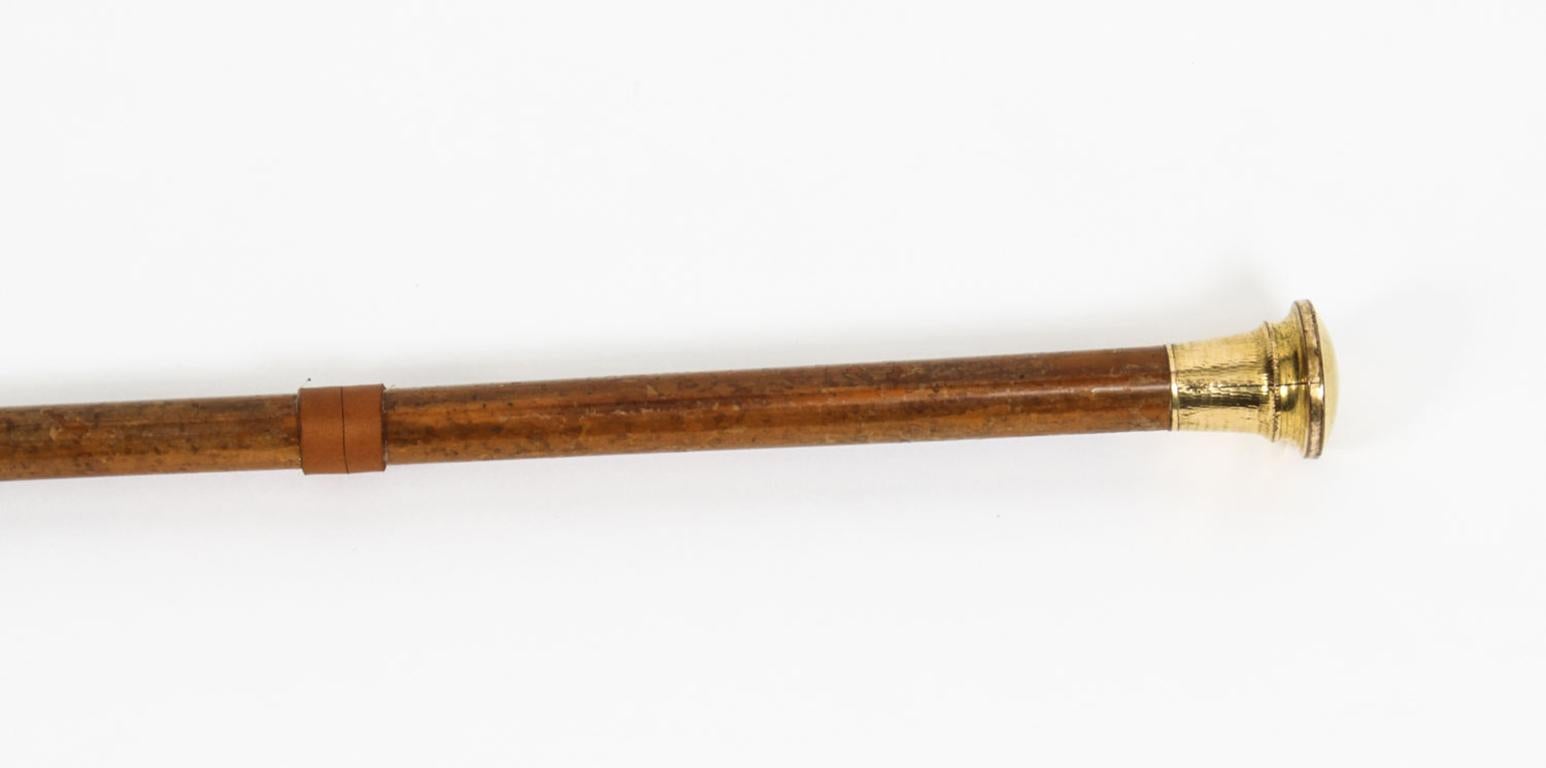 Antique English Gold & Malacca Walking Stick Cane Franzi, 19th C 5