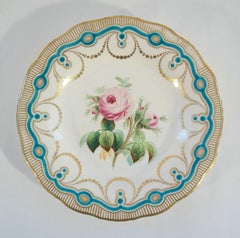 Antiker englischer handbemalter botanischer Keramik-Schrankteller aus Keramik - U.K. - um 1850
