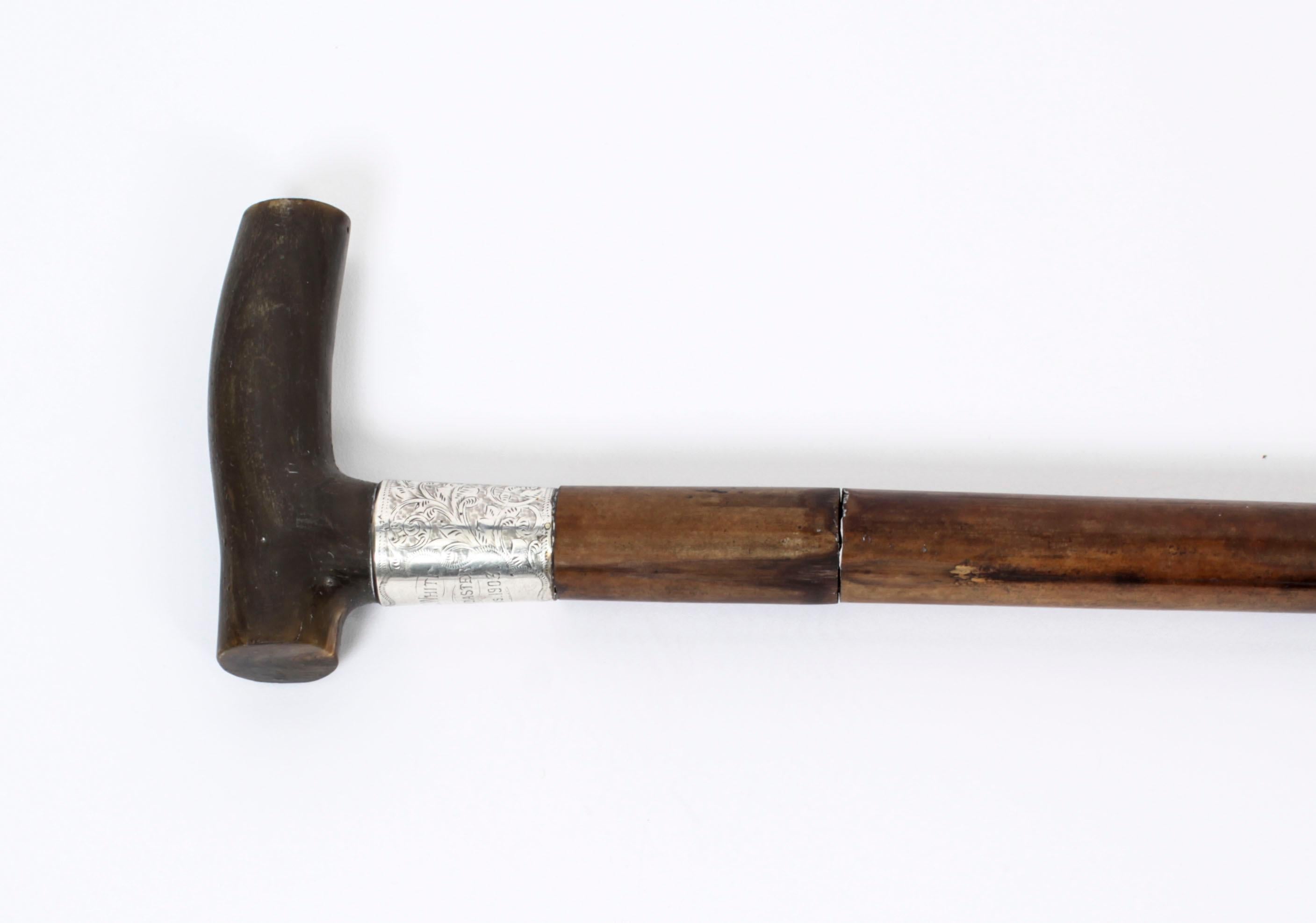 Antique English Horn & Malacca Sword / Walking Stick Cane 19th Century 5