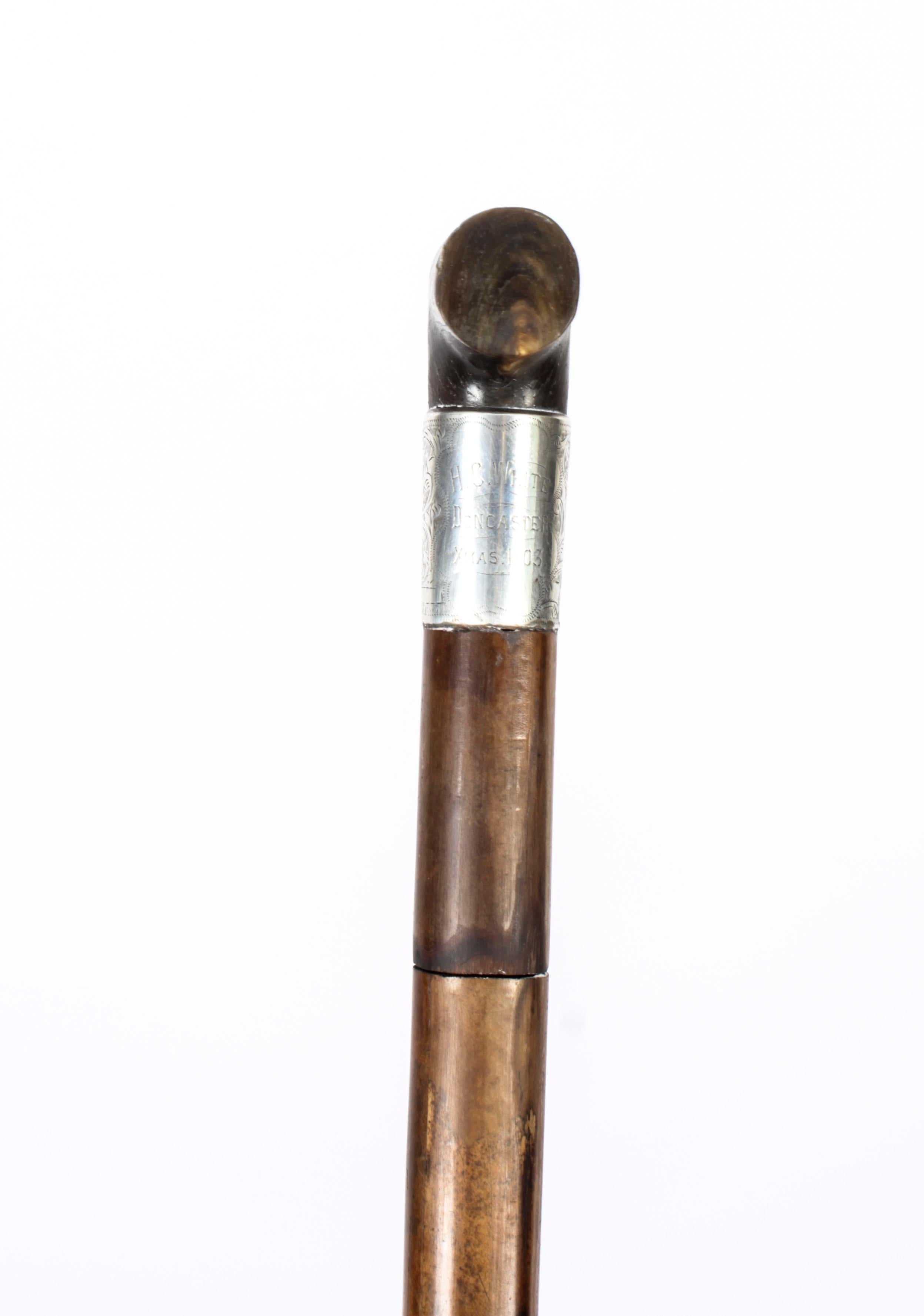 Antique English Horn & Malacca Sword / Walking Stick Cane 19th Century 7