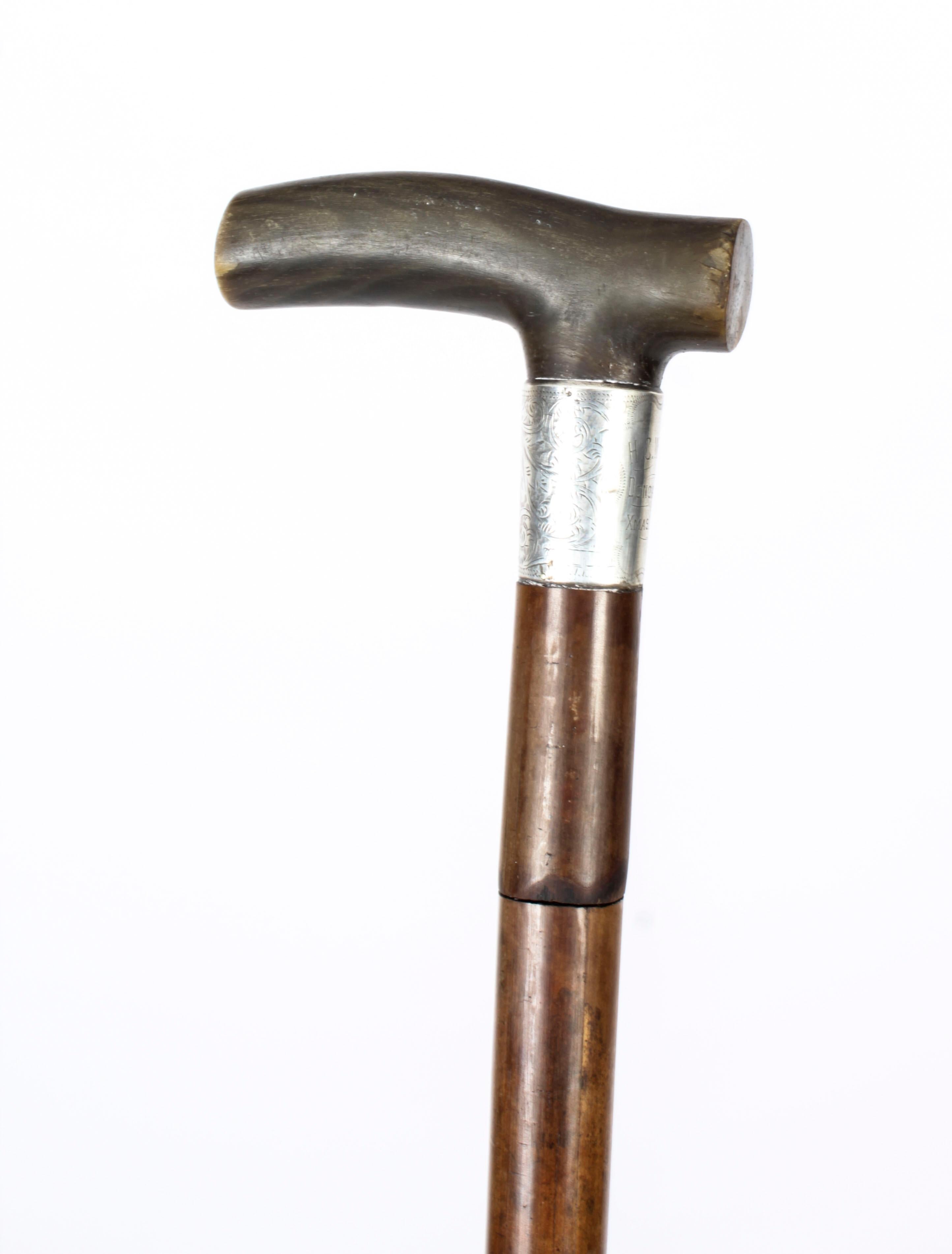 Antique English Horn & Malacca Sword / Walking Stick Cane 19th Century 8