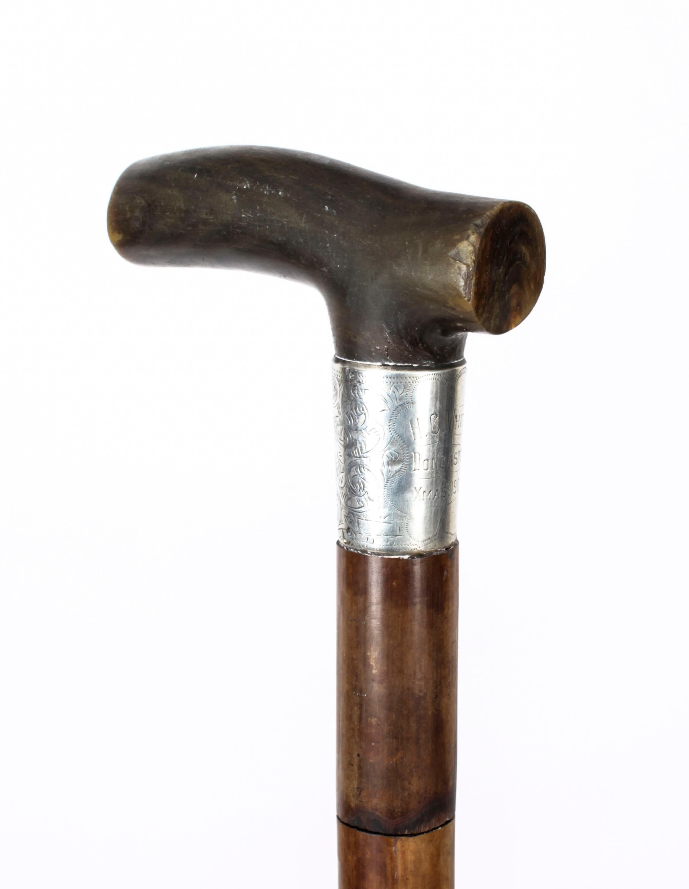 Antique English Horn & Malacca Sword / Walking Stick Cane 19th Century 9