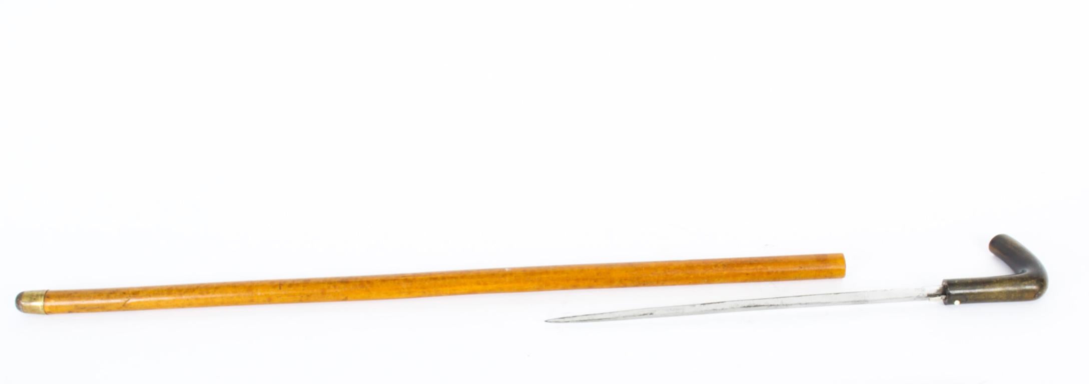 Antique English Horn & Malacca Sword / Walking Stick Cane, 19th Century In Good Condition In London, GB