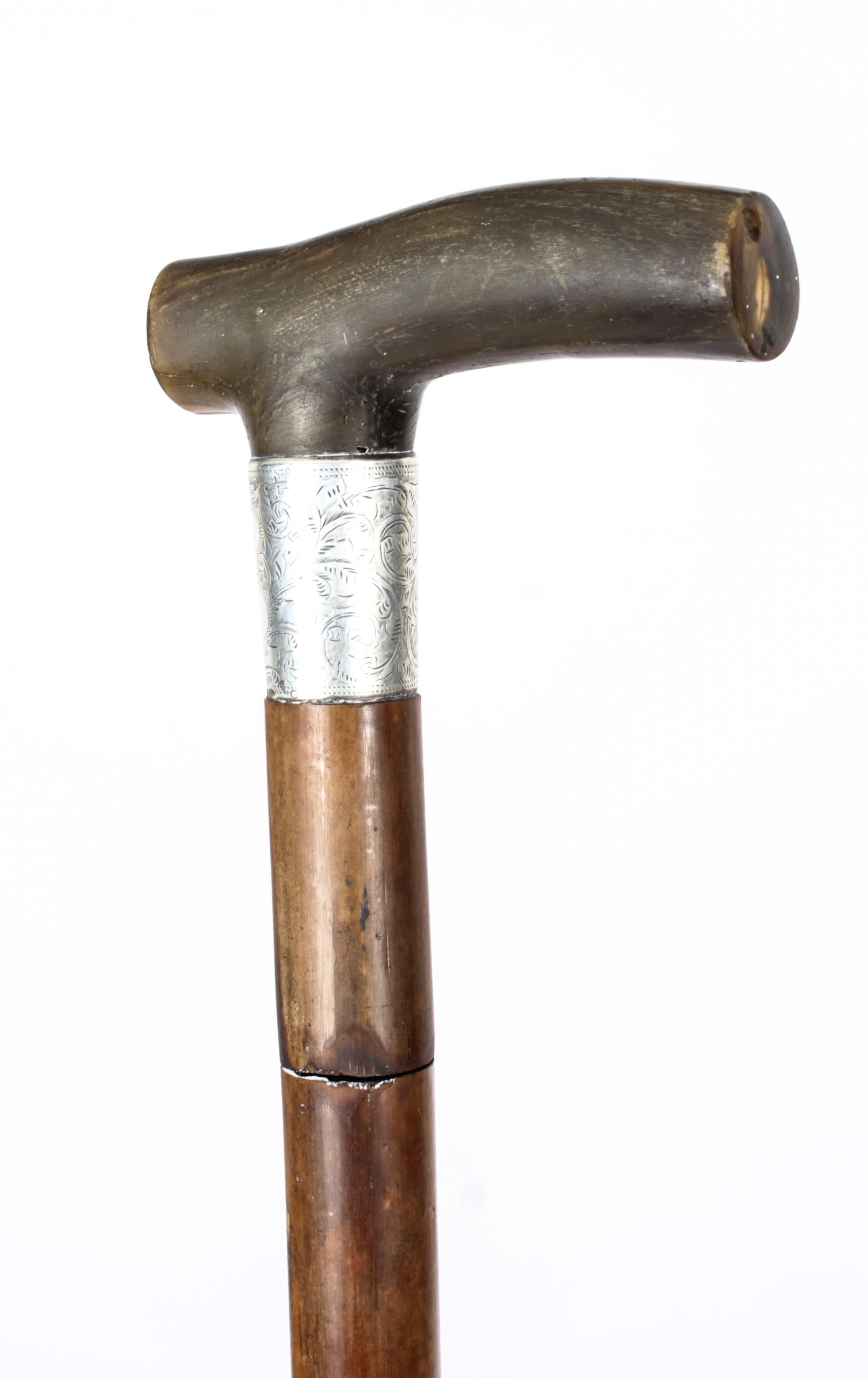 cane sword antique