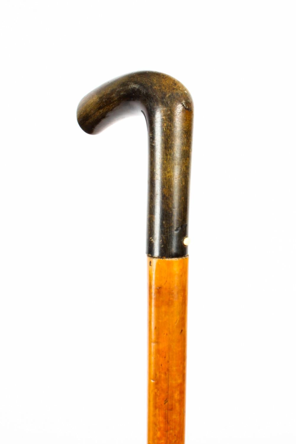 Wood Antique English Horn & Malacca Sword / Walking Stick Cane, 19th Century
