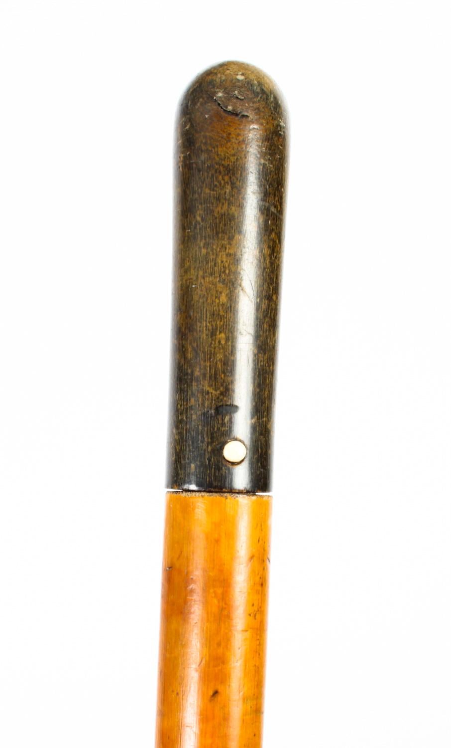 Antique English Horn & Malacca Sword / Walking Stick Cane, 19th Century 1