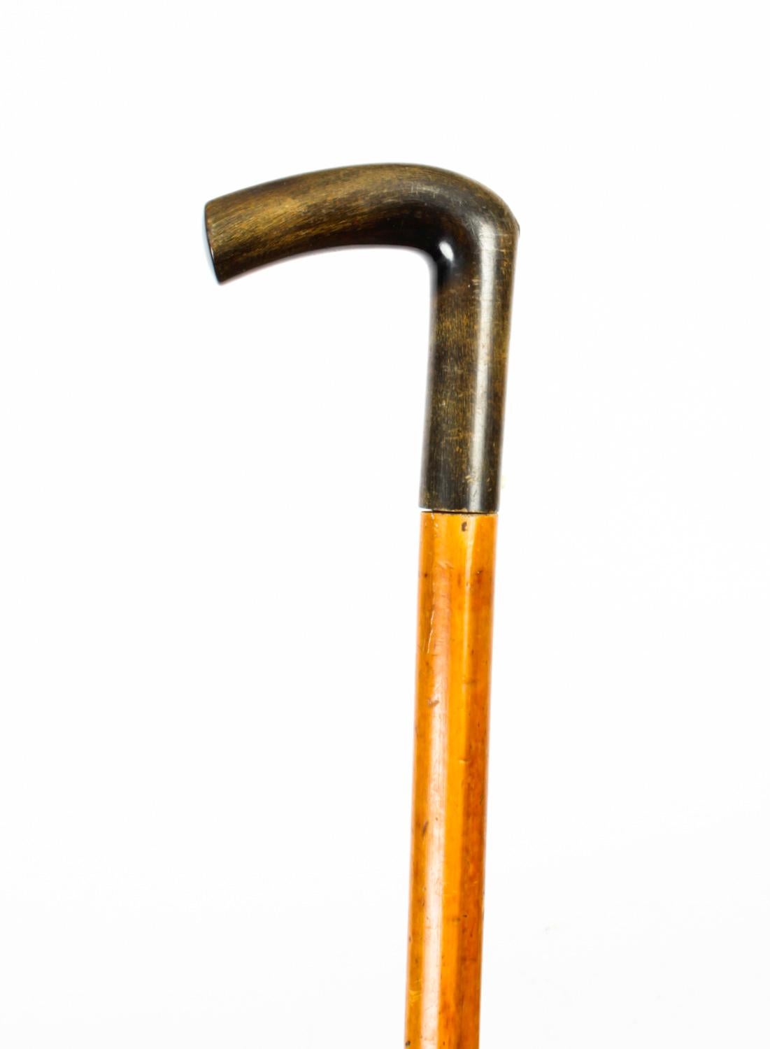 Antique English Horn & Malacca Sword / Walking Stick Cane, 19th Century 2