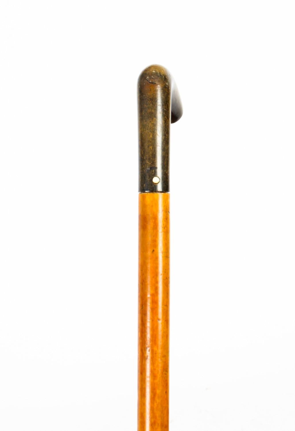 Antique English Horn & Malacca Sword / Walking Stick Cane, 19th Century 3