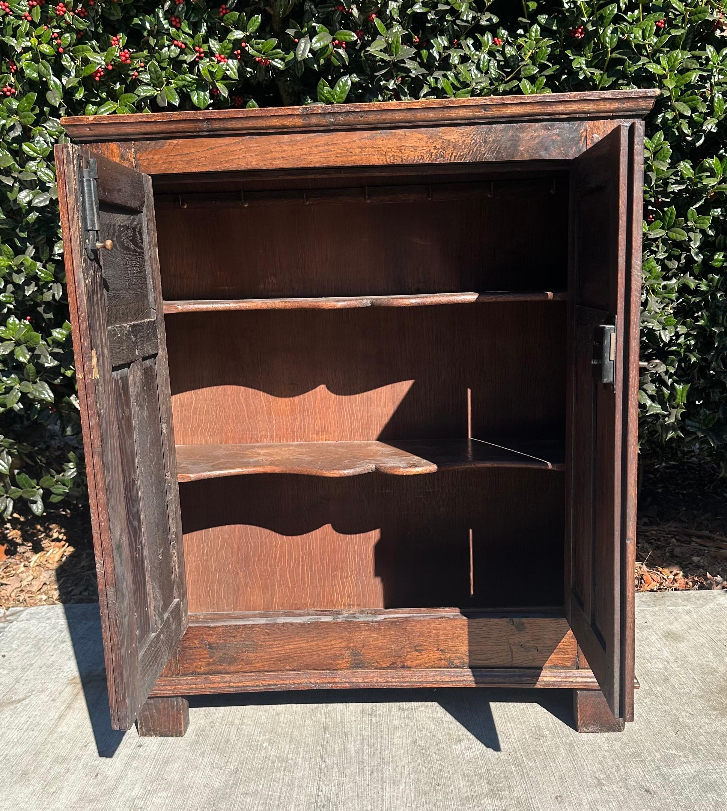 Jacobean Antique English Jam Cabinet Cupboard 19th century  hand carved oak For Sale