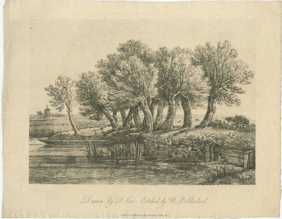 Antique English Landscape Etchings, Cottage & Trees – Sherlock, 1811