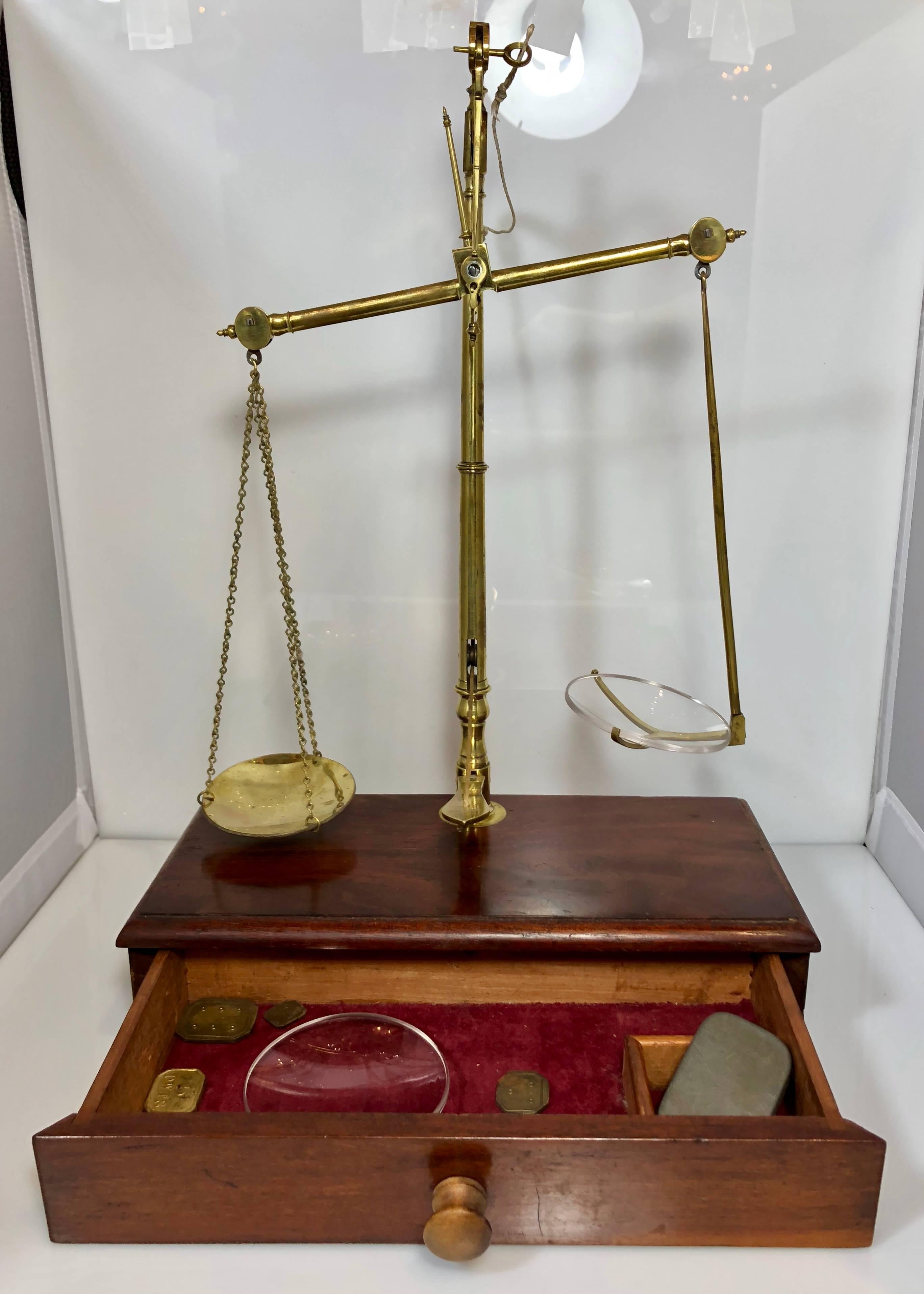 Anglais Ancienne écaille d'apothicaire anglaise en acajou et laiton signée R. Avery Company
