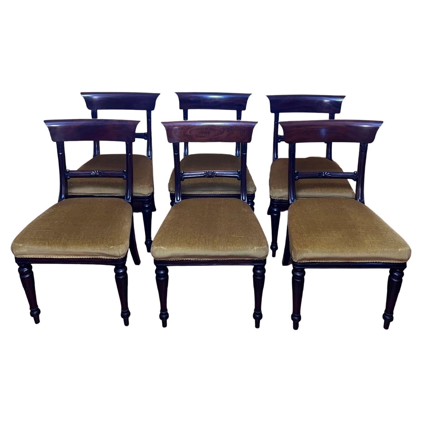 Six chaises anglaises anciennes en acajou et velours doré, ensemble de six en vente