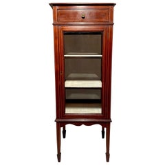 Antique English Mahogany Pedestal Vitrine