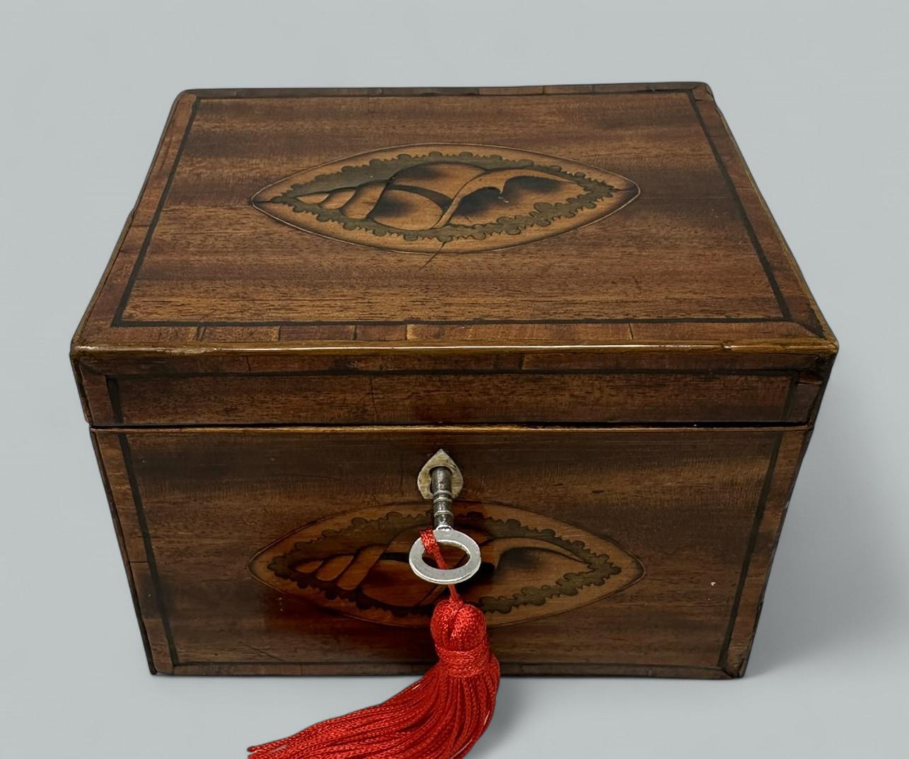Impressive English Georgian Period Conch Shell Flame Grain Mahogany Single Teacaddy of outstanding quality and workmanship and compact size. Circa 1790. 
The hinged lid cross banded in satinwood, fabulously inlaid with a central oval cartouche