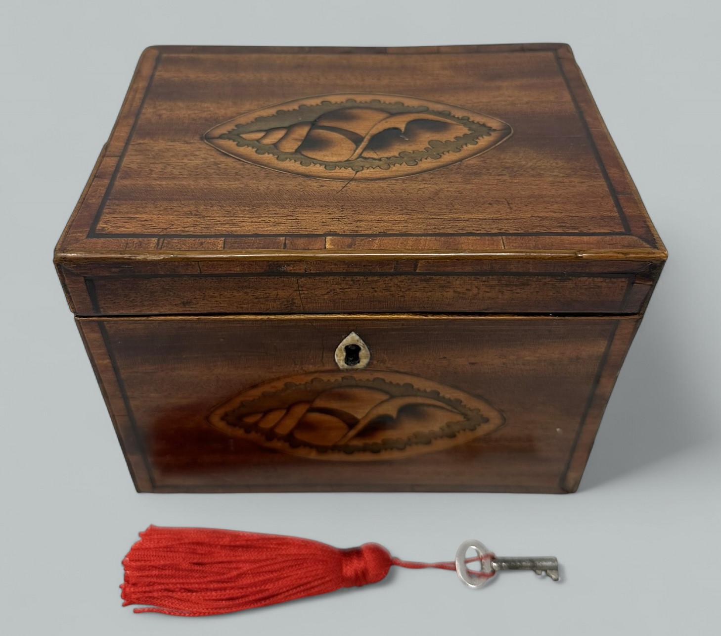 Polished Antique English Mahogany Wooden Georgian Regency Double Tea Caddy 18h Century For Sale
