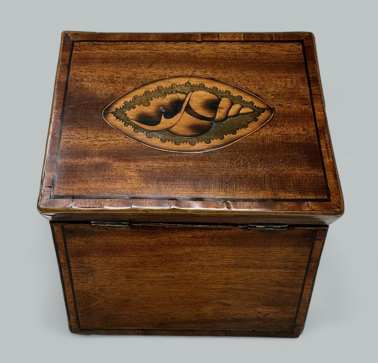 Antique English Mahogany Wooden Georgian Regency Double Tea Caddy 18h Century In Good Condition For Sale In Dublin, Ireland