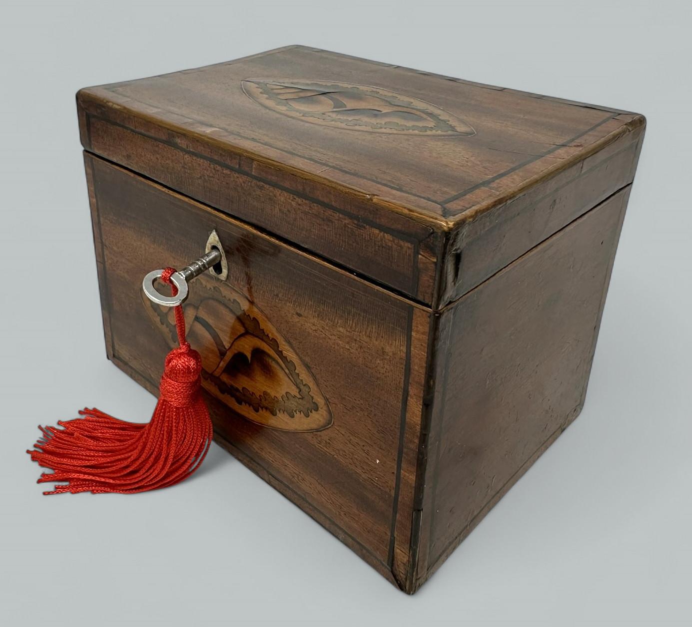 19th Century Antique English Mahogany Wooden Georgian Regency Double Tea Caddy 18h Century For Sale
