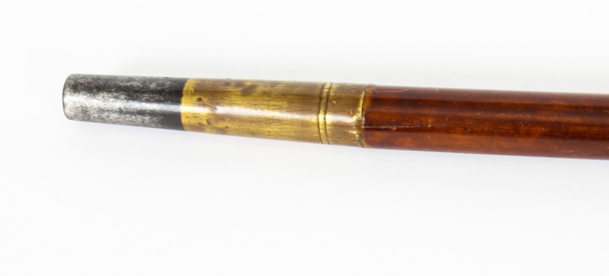 Antique English Nigerian 5th Malacca Sword / Walking Stick Cane, 19th Century 1